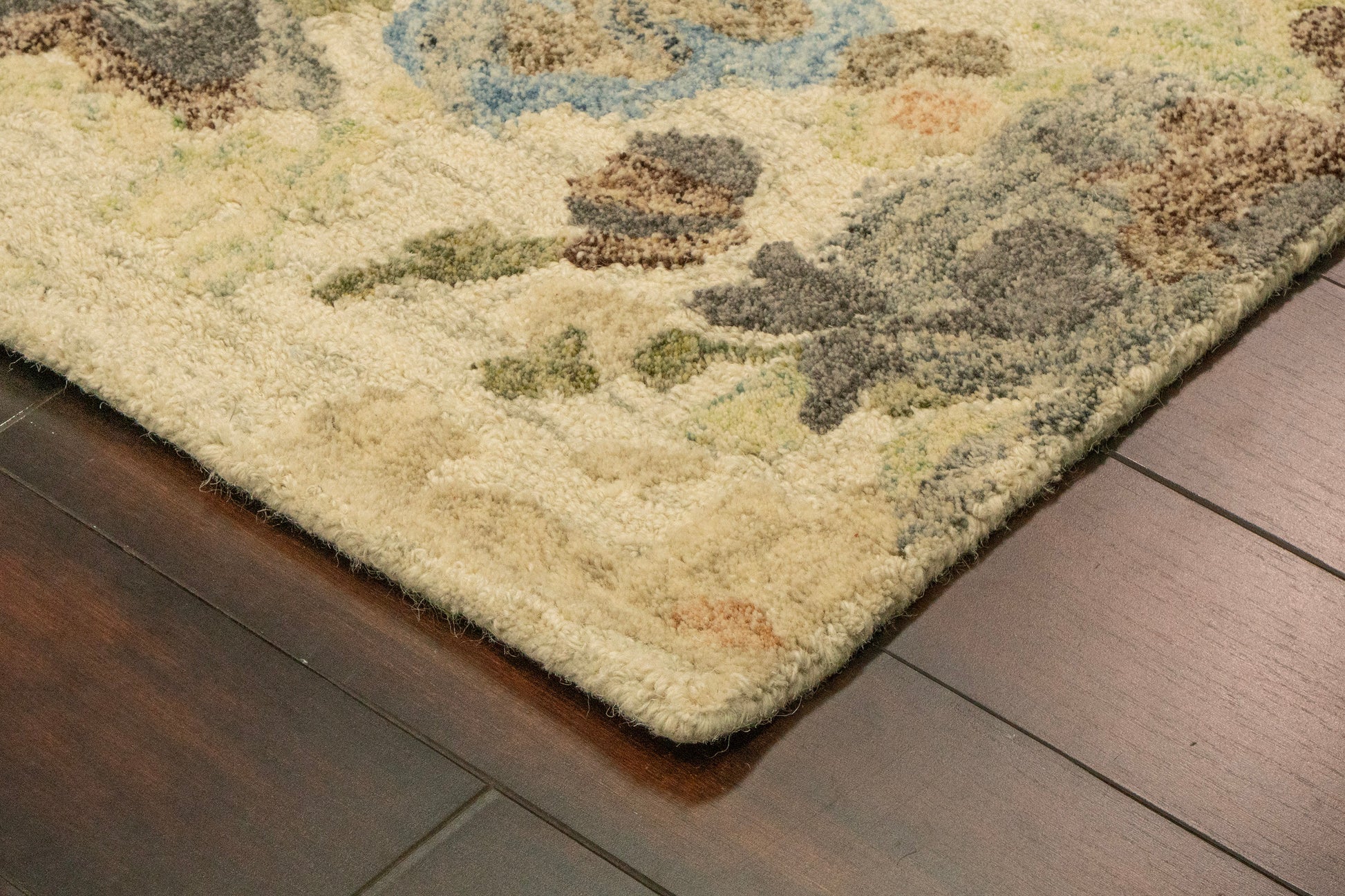 Daisy Transitional Ivory/Multi Floral Medium Pile Rug