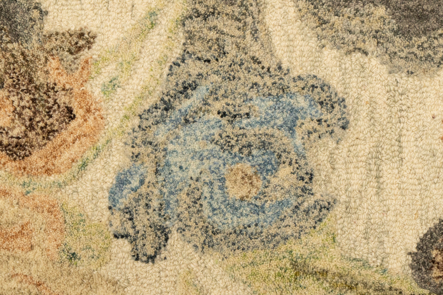 Daisy Transitional Ivory/Multi Floral Medium Pile Rug