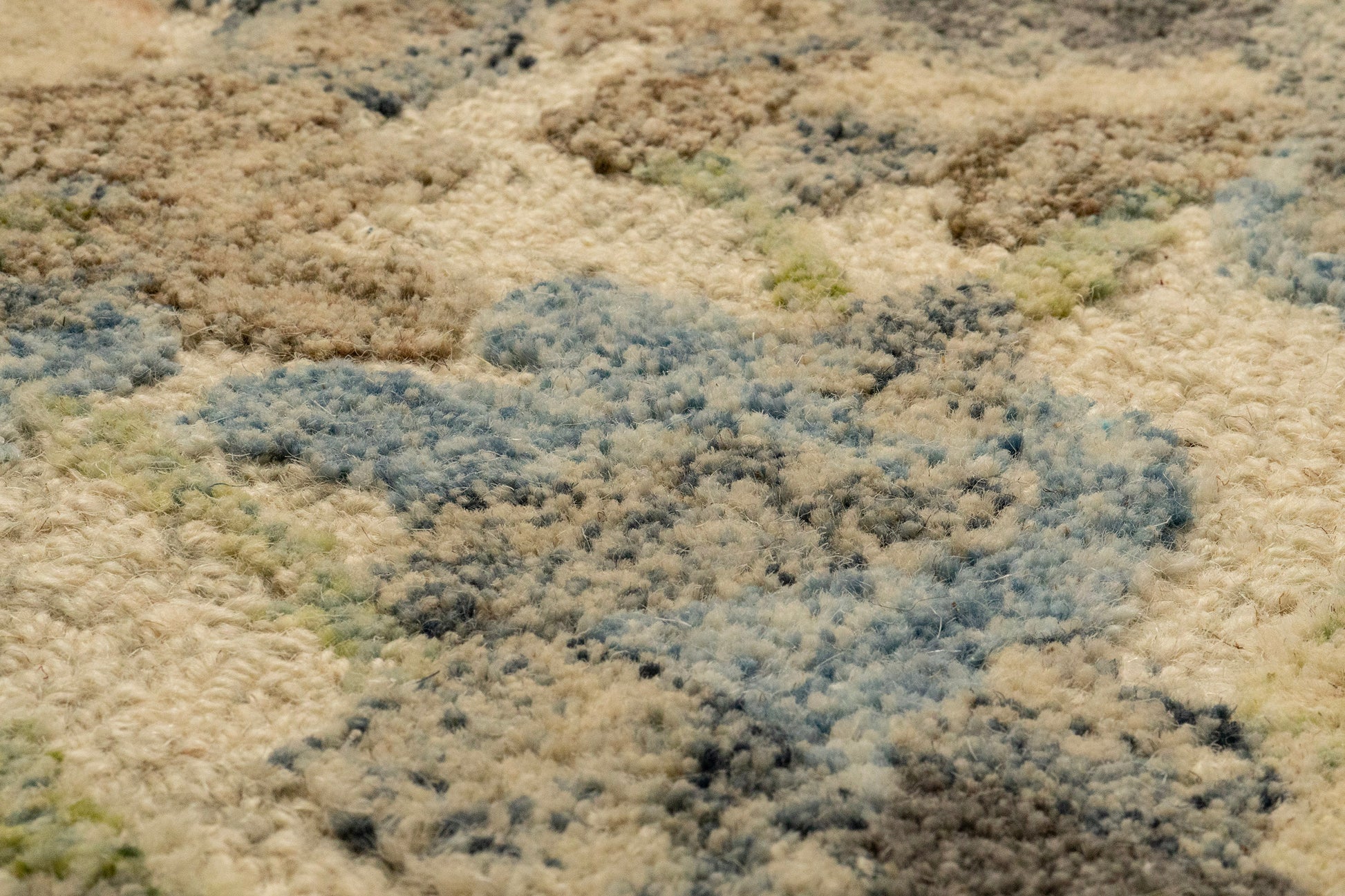 Daisy Transitional Ivory/Multi Floral Medium Pile Rug