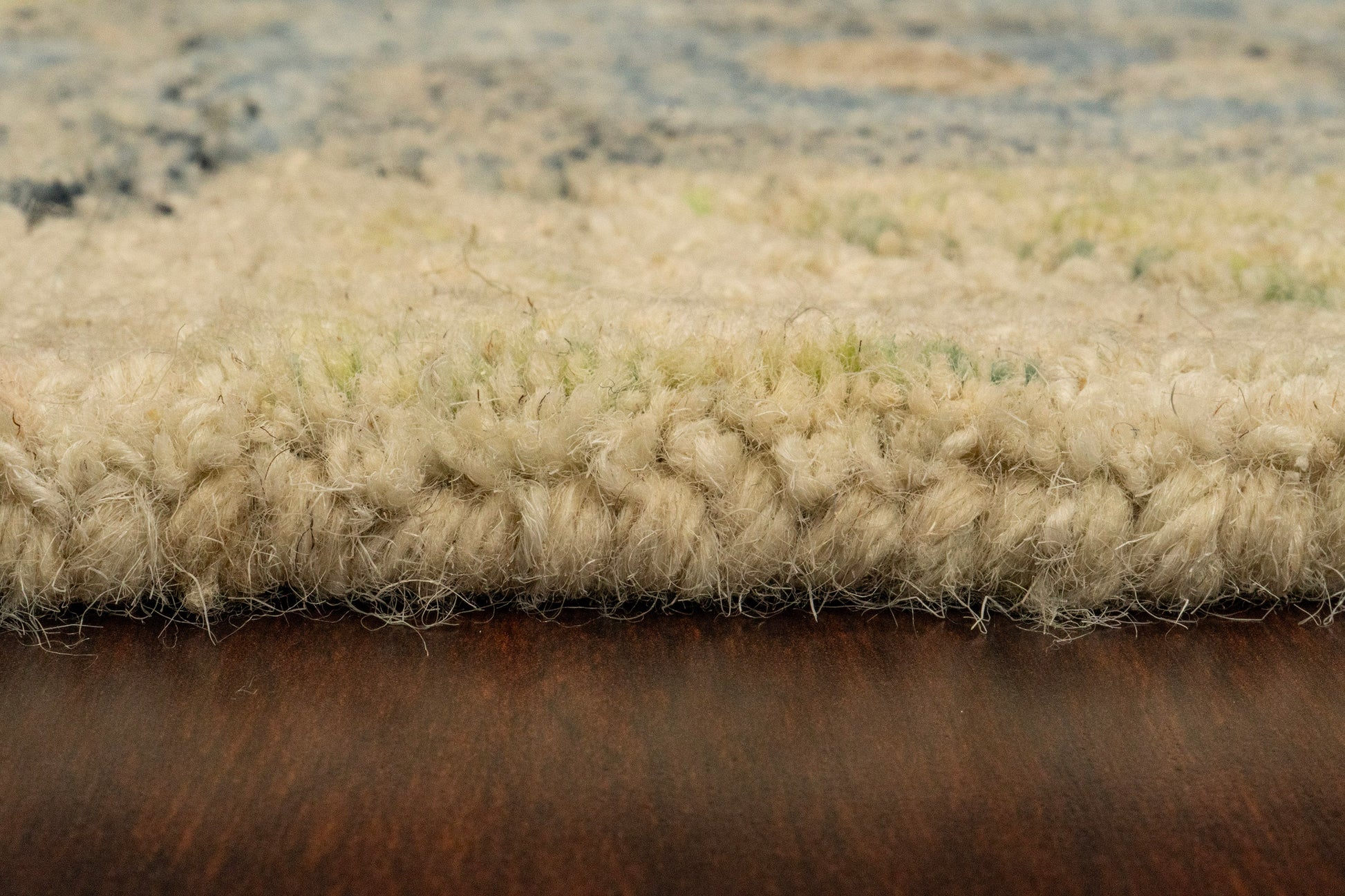 Daisy Transitional Ivory/Multi Floral Medium Pile Rug