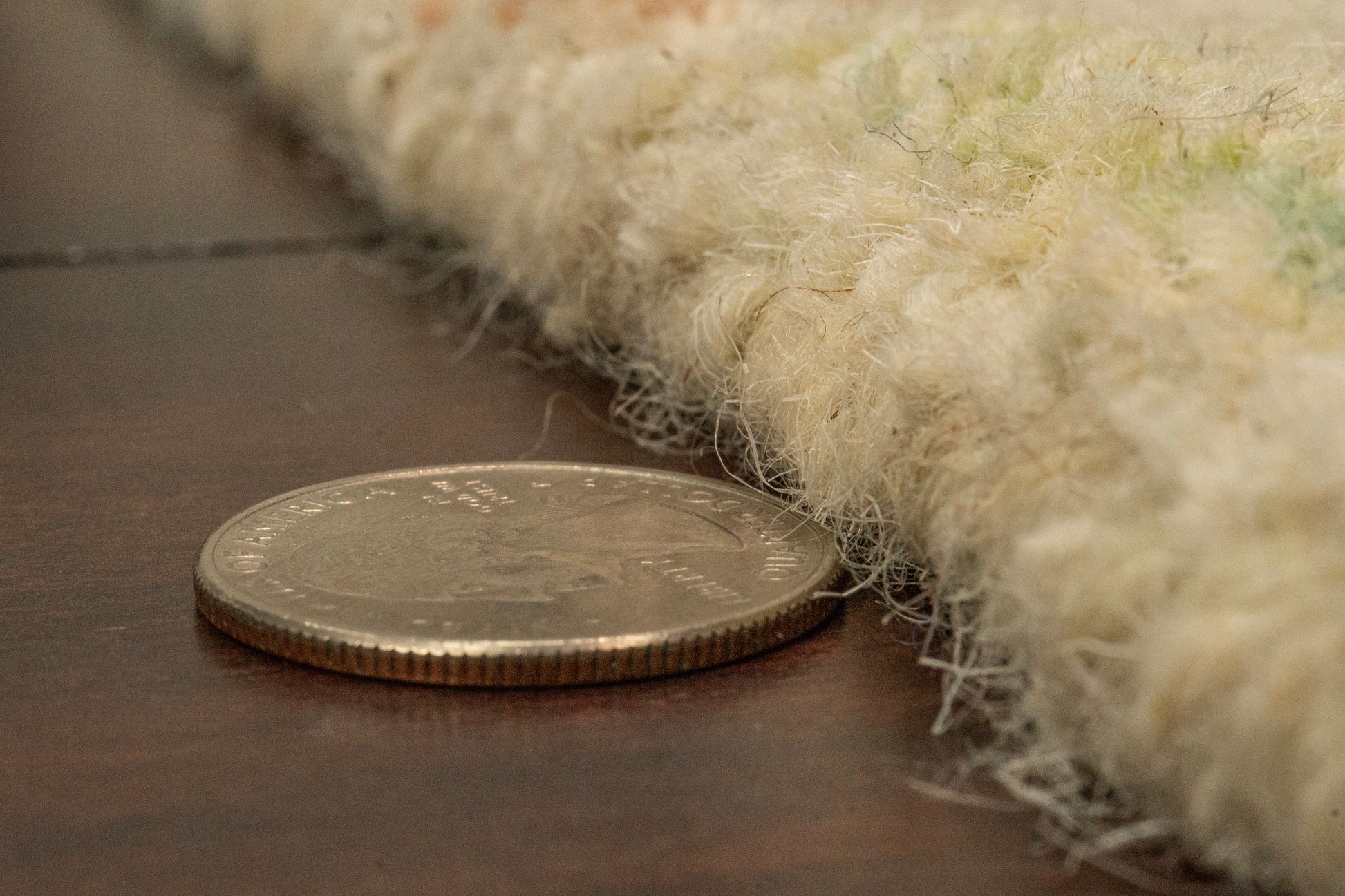Daisy Transitional Ivory/Multi Floral Medium Pile Rug