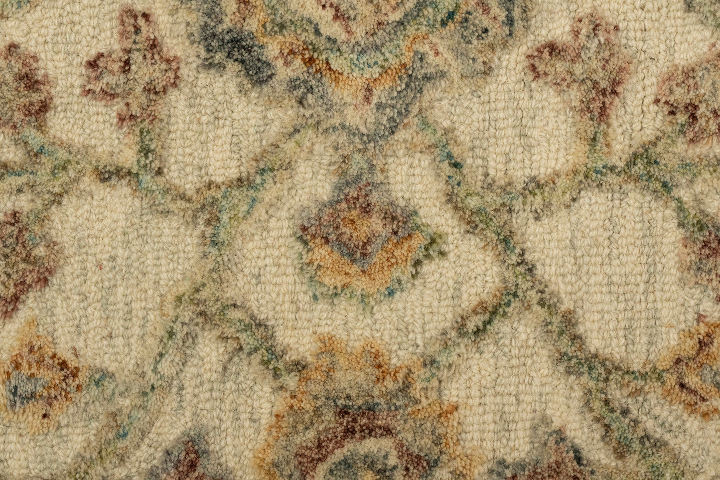 Daisy Transitional Ivory/Multi Floral Medium Pile Rug