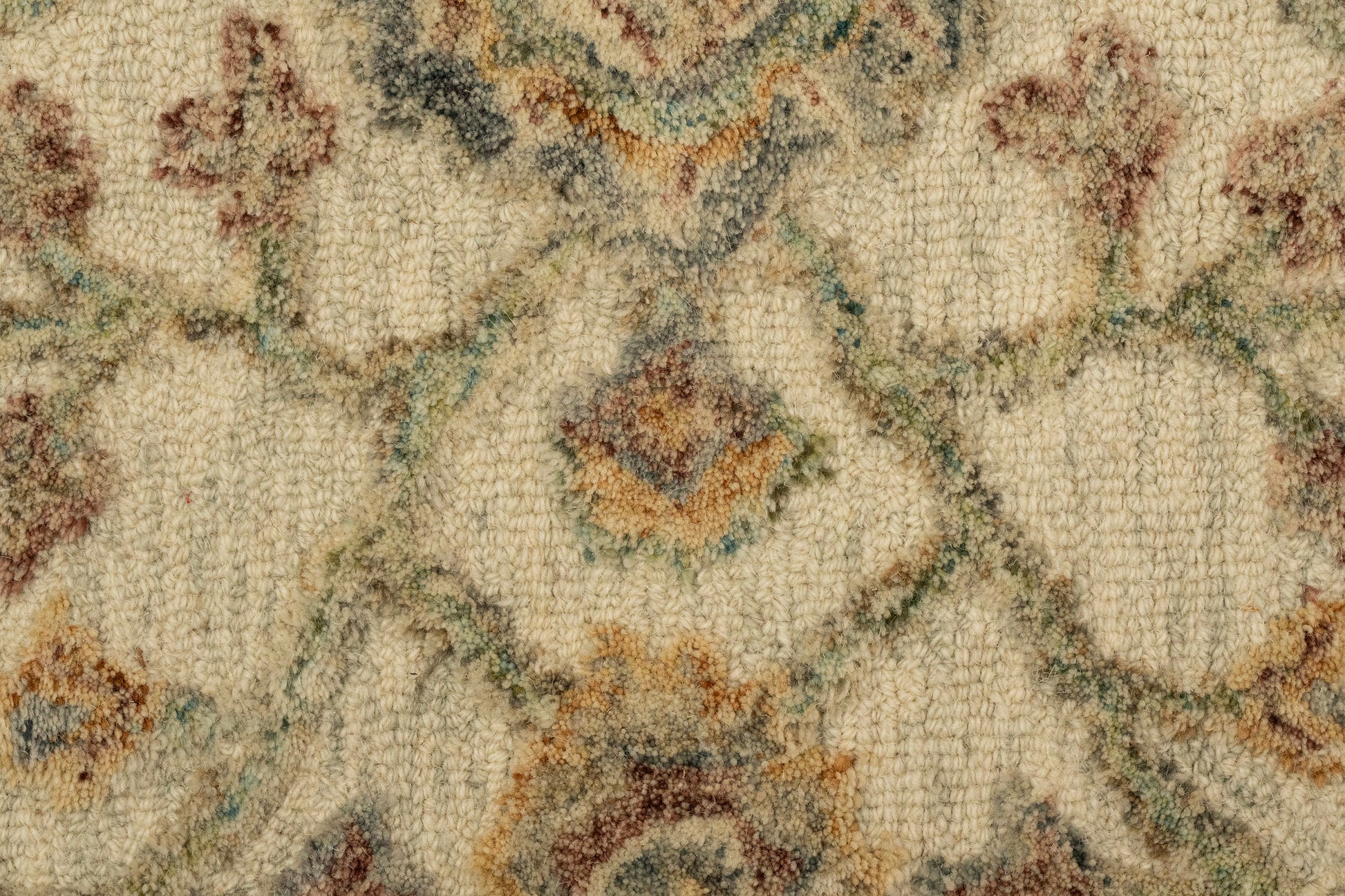 Daisy Transitional Ivory/Multi Floral Medium Pile Rug