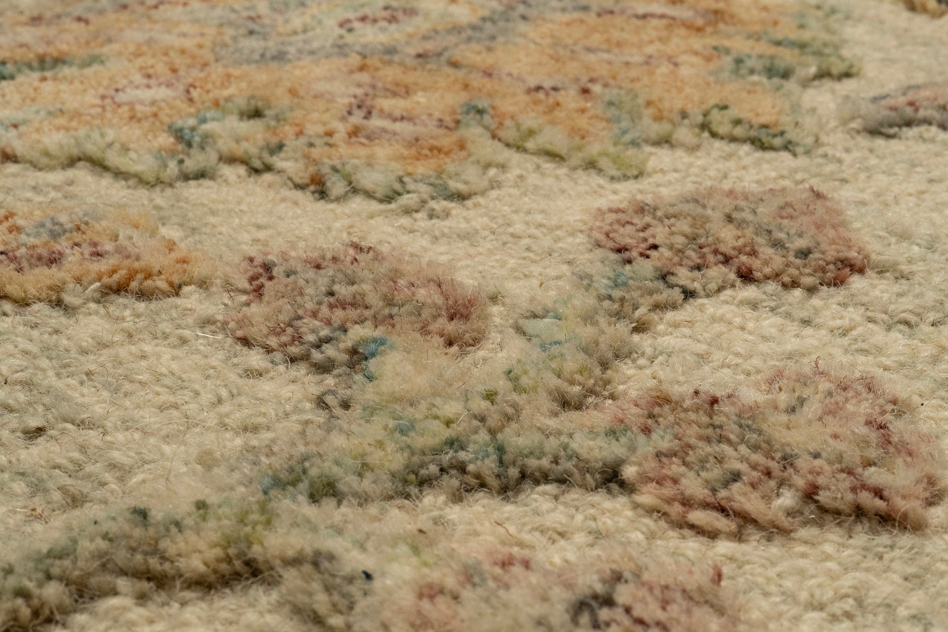 Daisy Transitional Ivory/Multi Floral Medium Pile Rug