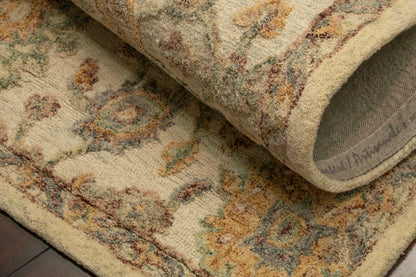 Daisy Transitional Ivory/Multi Floral Medium Pile Rug