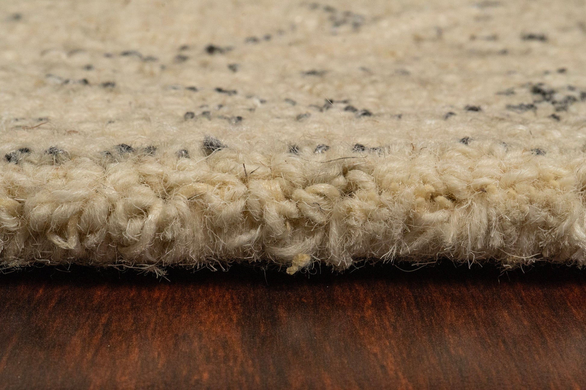 Daisy Traditional Ivory Floral Medium Pile Rug