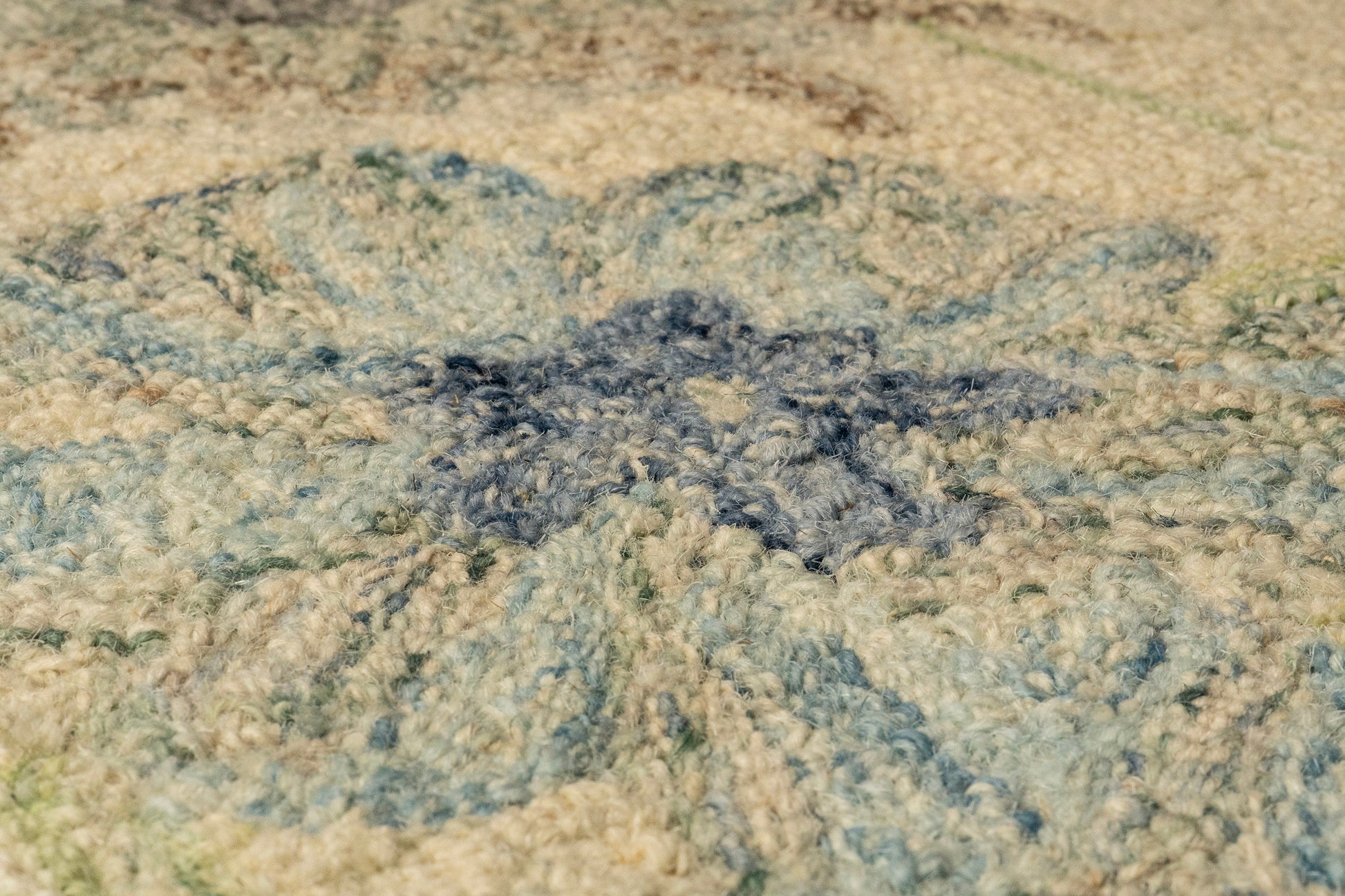 Daisy Transitional Ivory/Multi Floral Medium Pile Rug