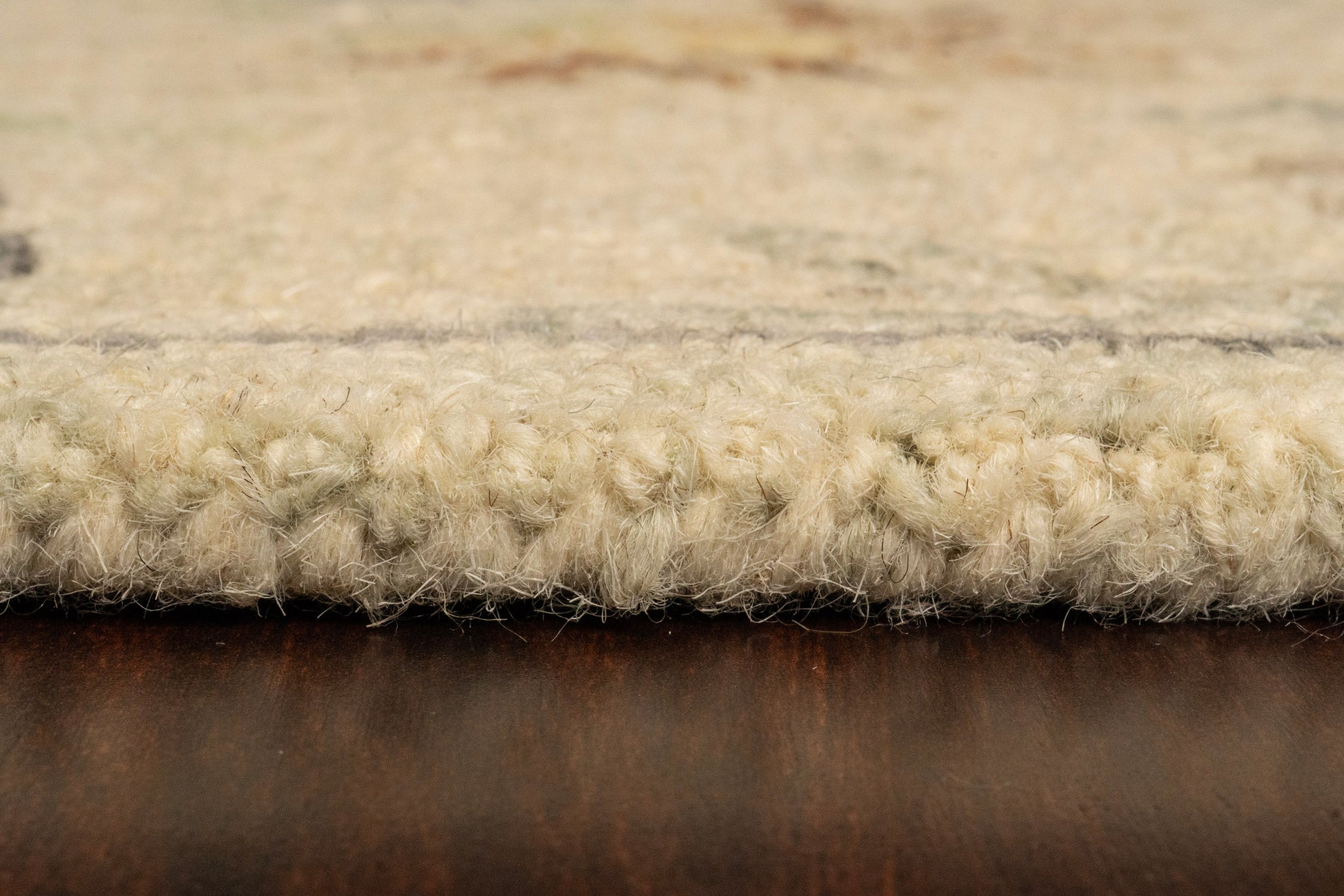 Daisy Transitional Ivory/Multi Floral Medium Pile Rug