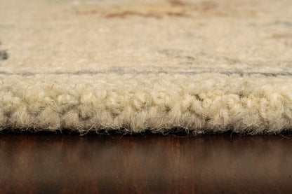 Daisy Transitional Ivory/Multi Floral Medium Pile Rug