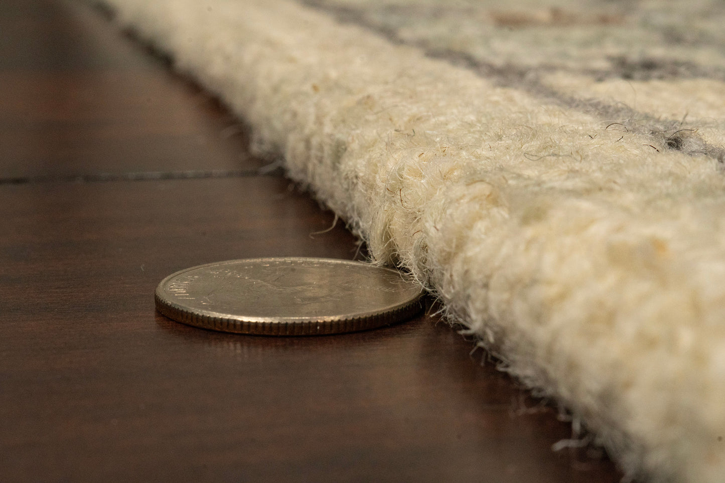 Daisy Transitional Ivory/Multi Floral Medium Pile Rug