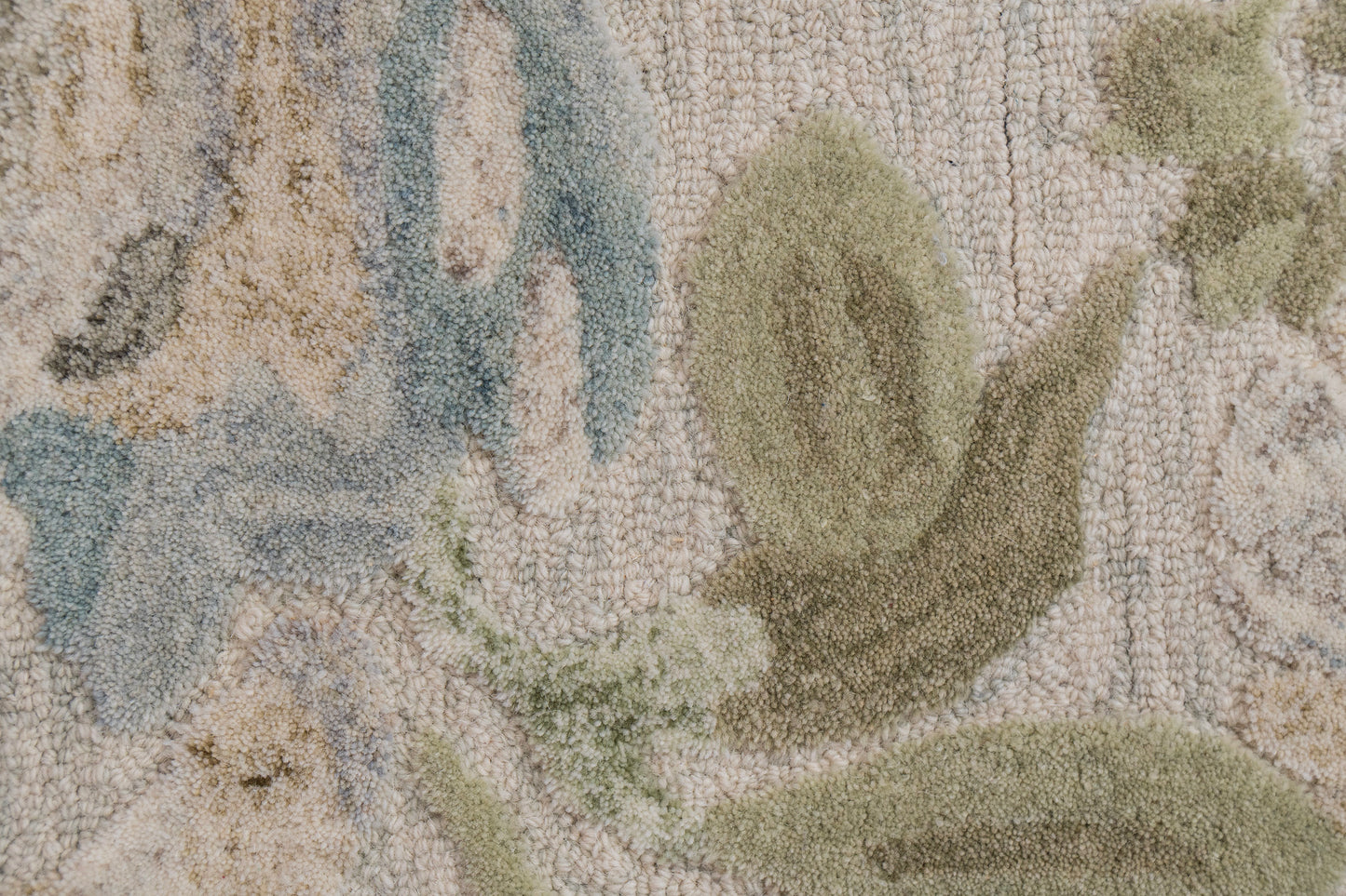 Daisy Modern Sage/Multi Floral Medium Pile Rug
