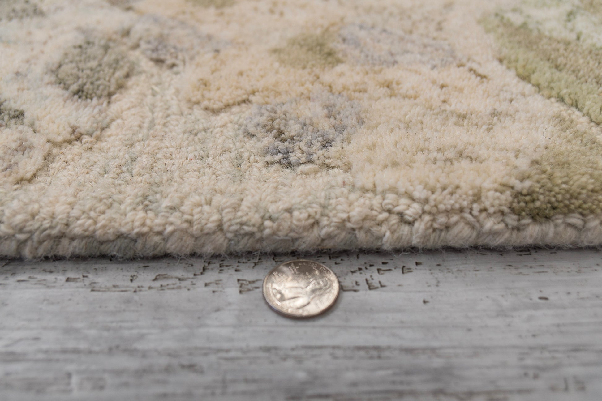 Daisy Modern Sage/Multi Floral Medium Pile Rug