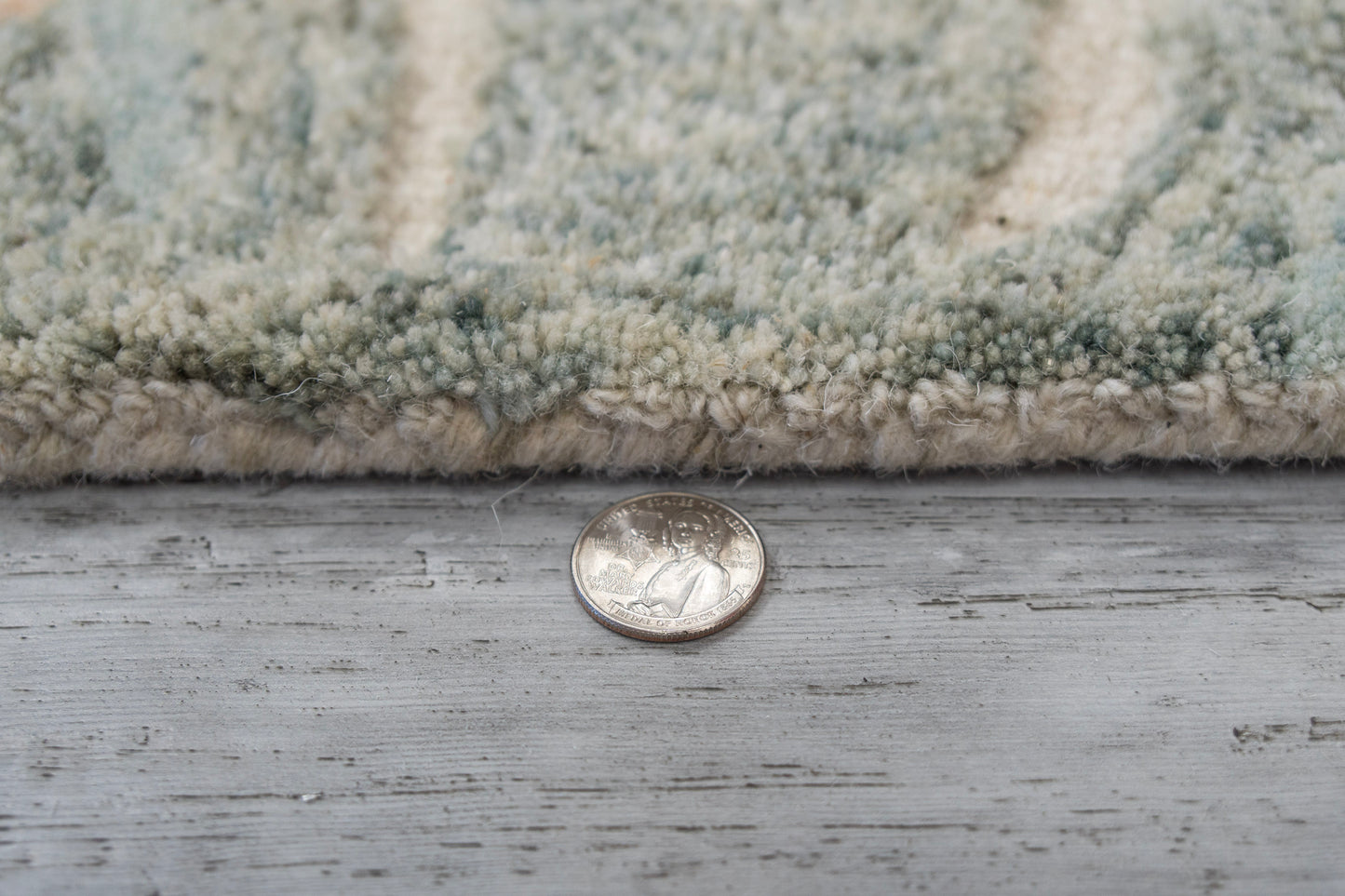 Daisy Modern Grey/Multi Floral Medium Pile Rug