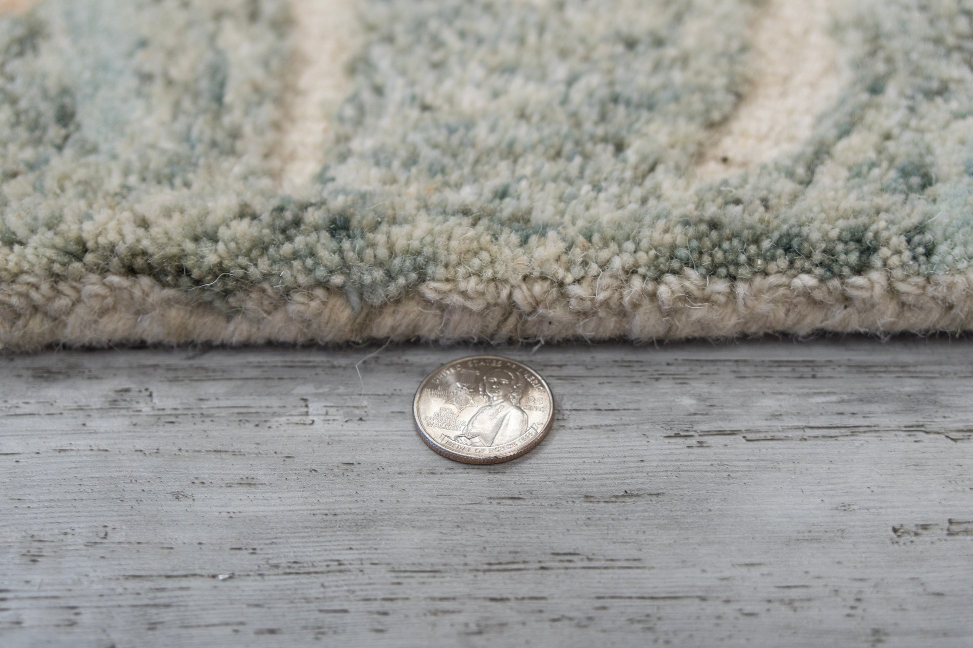 Daisy Modern Grey/Multi Floral Medium Pile Rug
