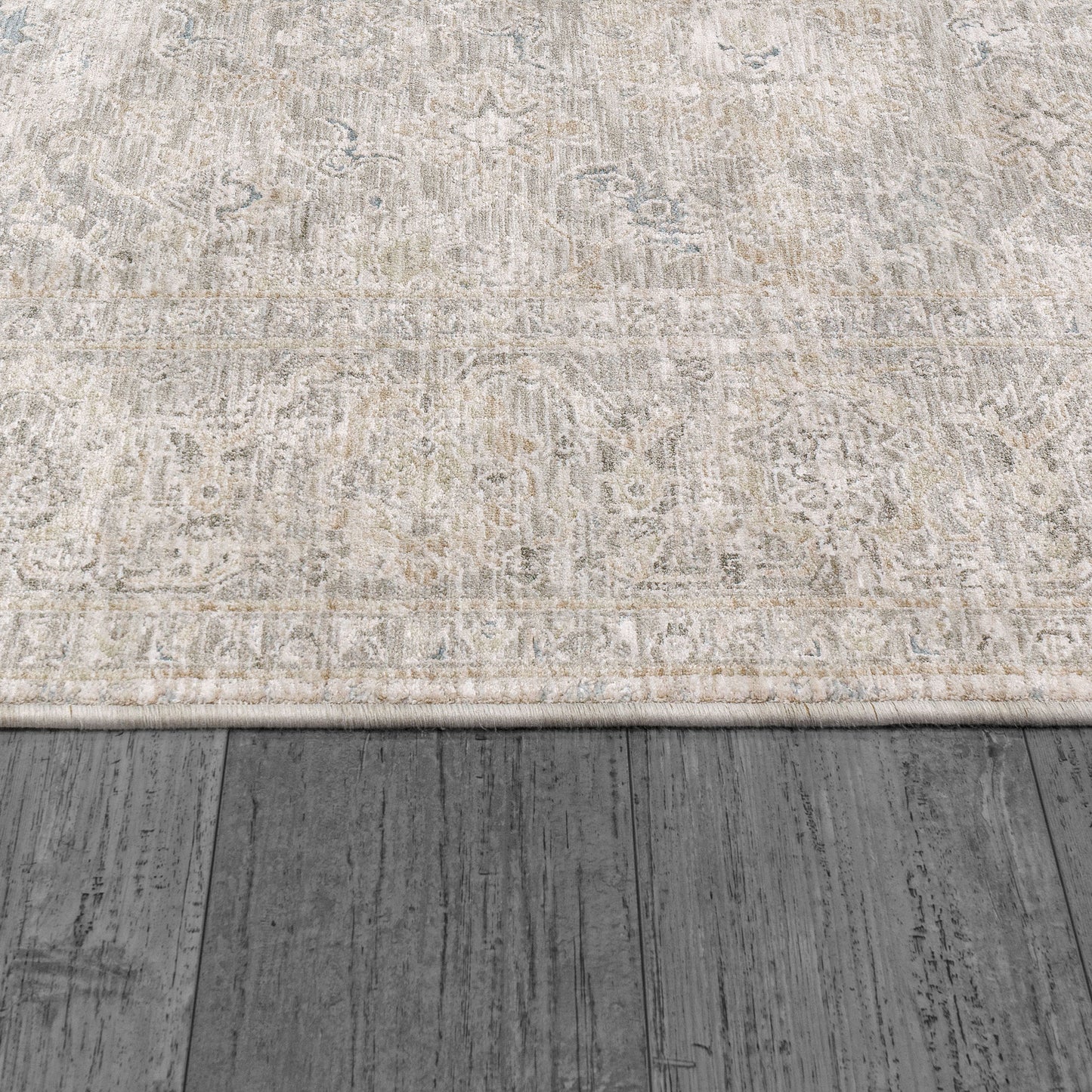 Dharma Transitional Light Beige/Grey Floral Low Pile Rug