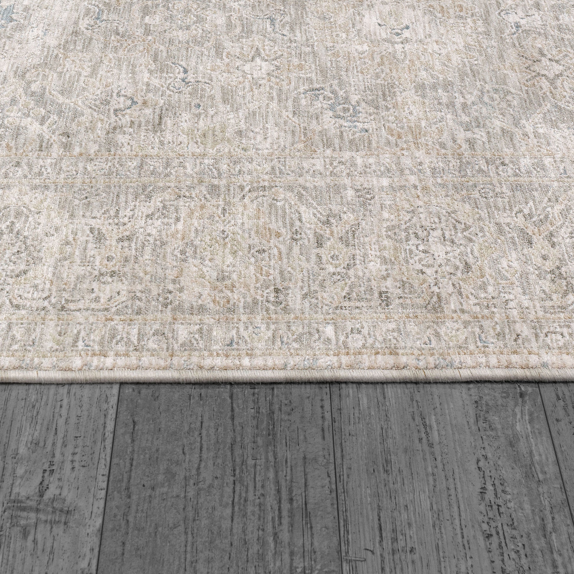 Dharma Transitional Light Beige/Grey Floral Low Pile Rug