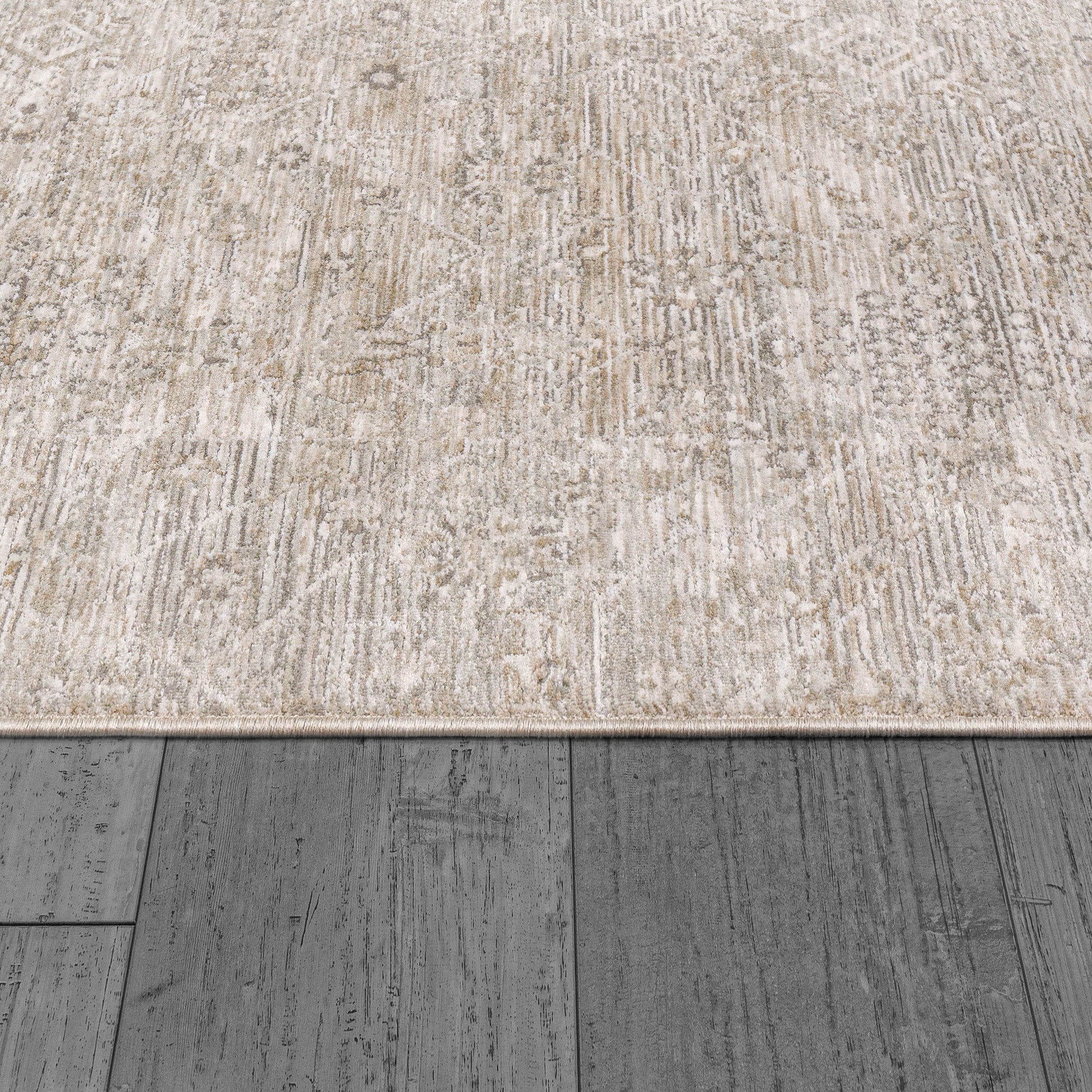 Dharma Transitional Beige/Multi Bohemian Low Pile Rug