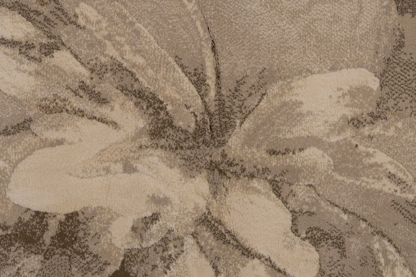 Eclipse Contemporary Beige/Cream Floral Medium Pile Rug