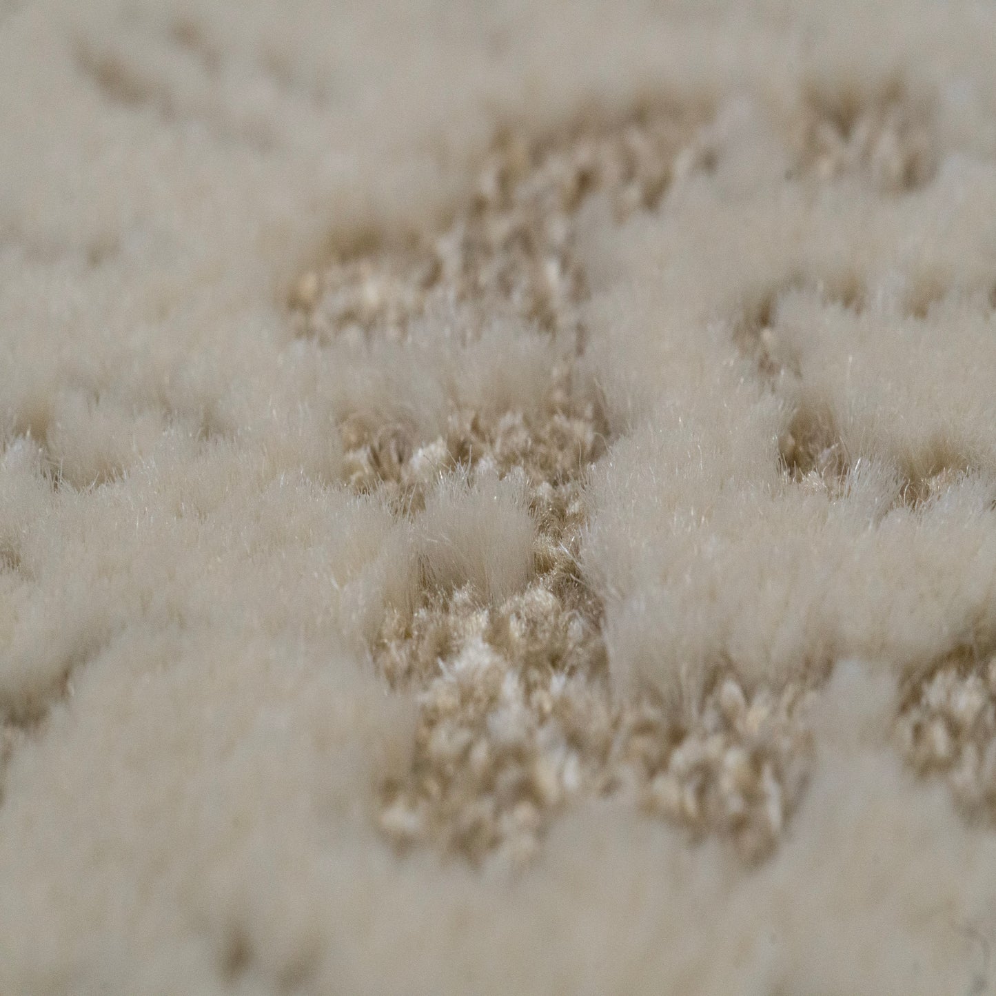 Harmony Contemporary Beige/Ivory Damask Medium Pile Rug