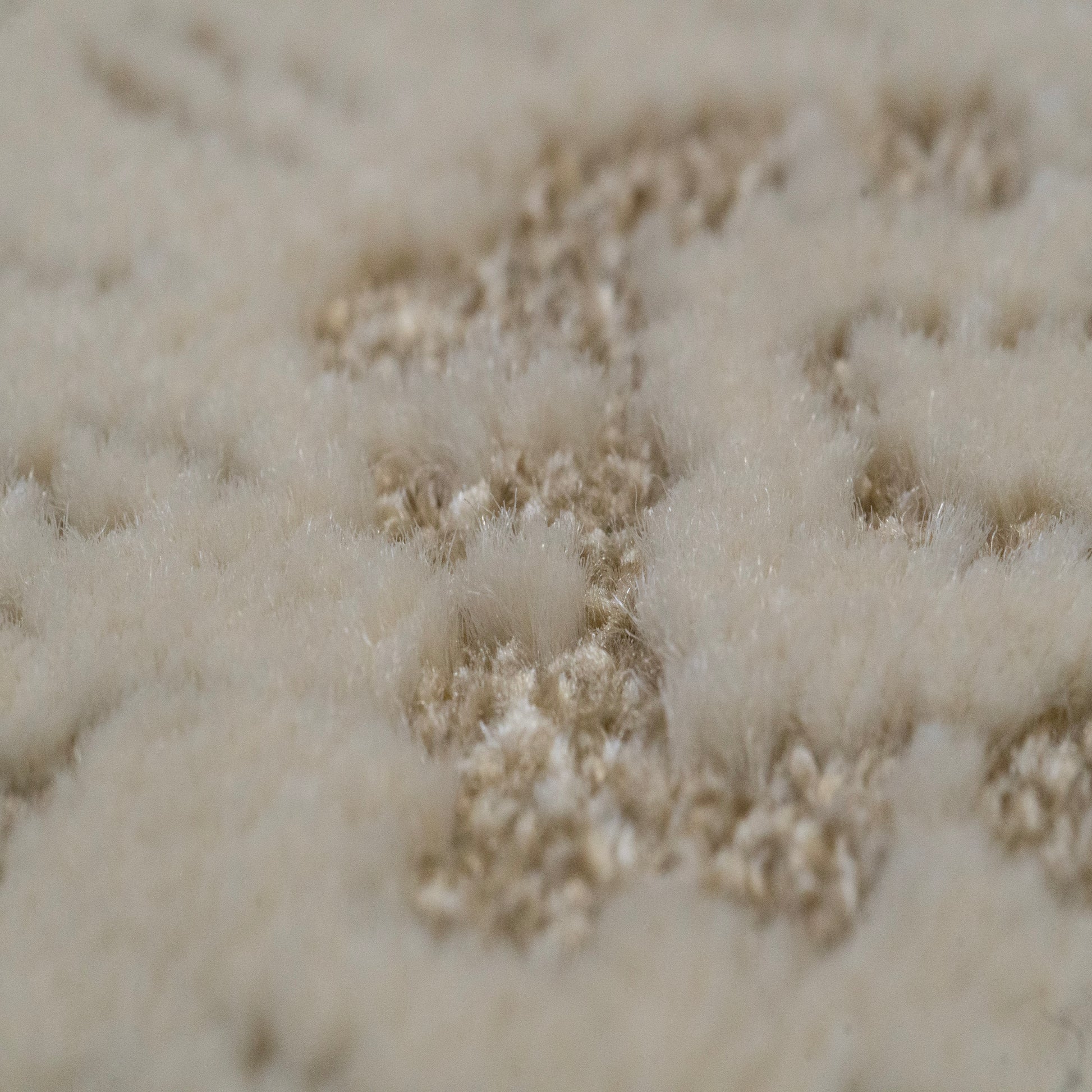 Harmony Contemporary Beige/Ivory Damask Medium Pile Rug