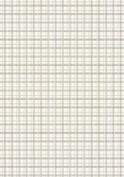 Harmony Contemporary Ivory/Beige Plaid Medium Pile Rug