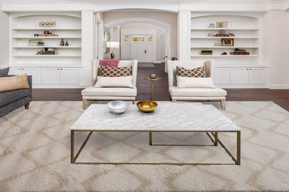 Haven Modern Ivory/Beige Geometric Shag Rug