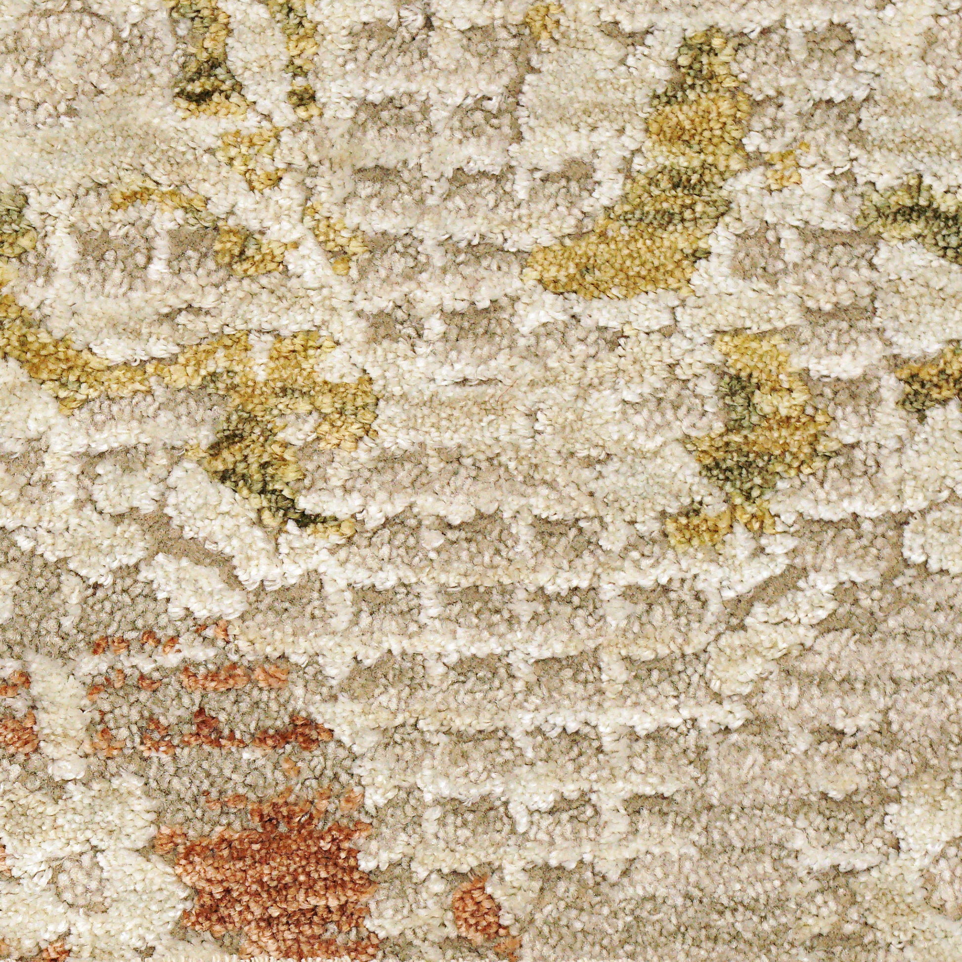 Hudson Transitional Beige/Multi Oriental High-Low Rug