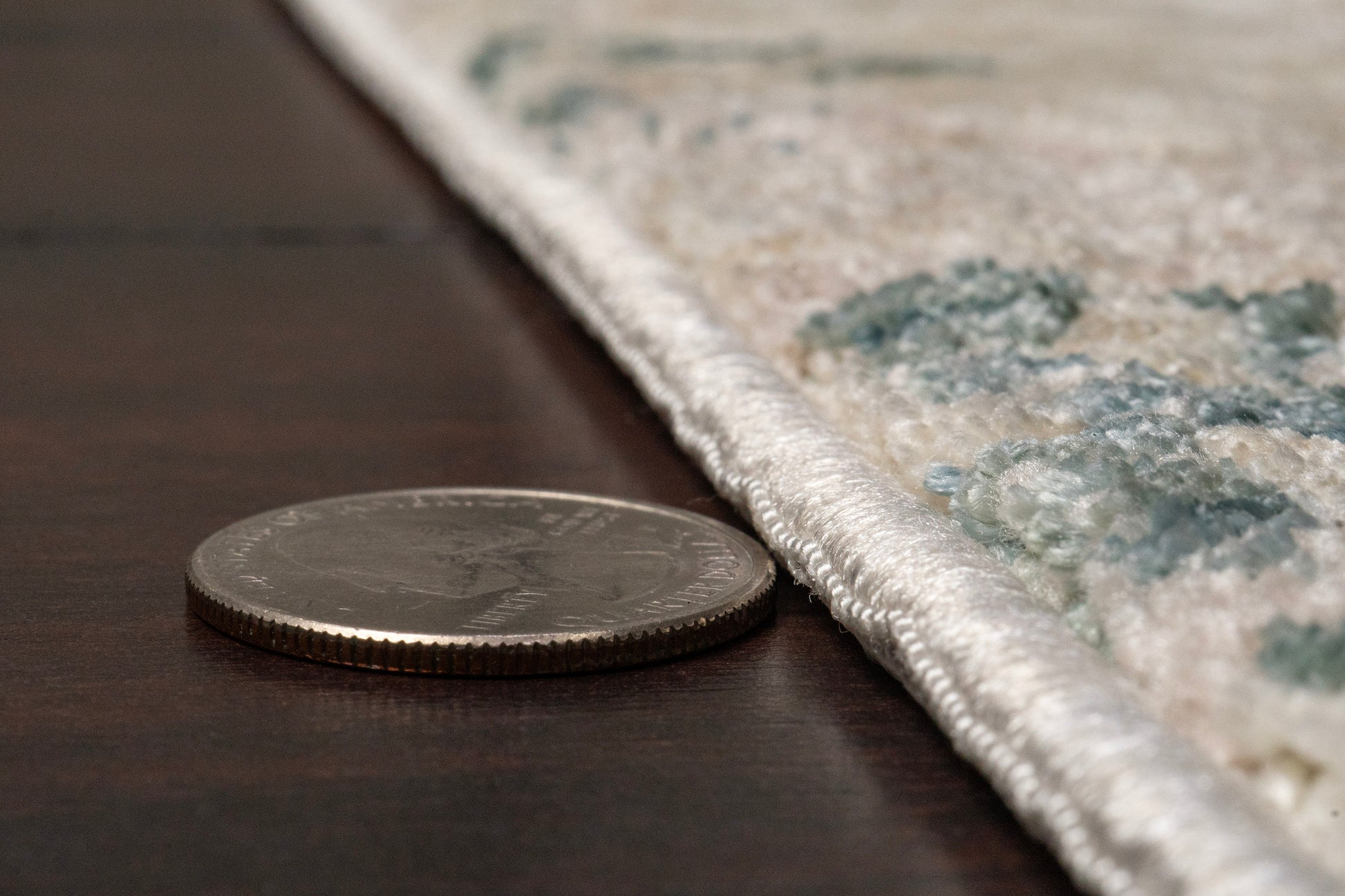Hudson Transitional Beige/Multi Oriental High-Low Rug