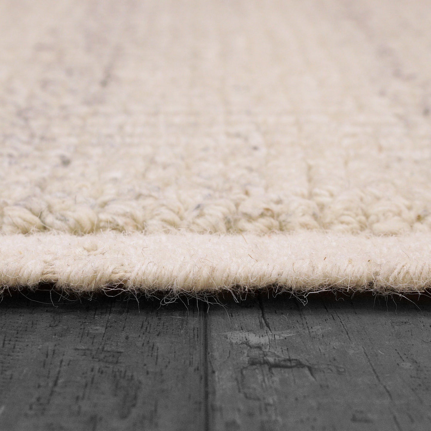 Ivy Modern Ivory/Silver Solid Medium Pile Rug
