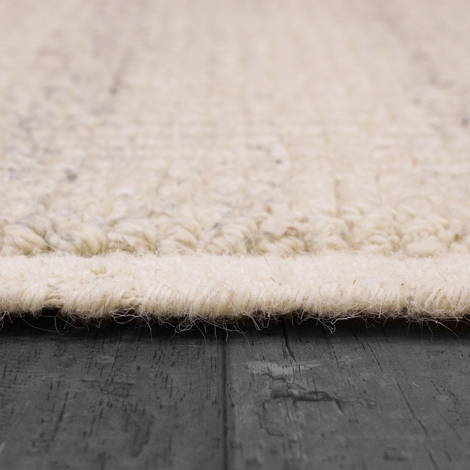 Ivy Modern Ivory/Silver Solid Medium Pile Rug