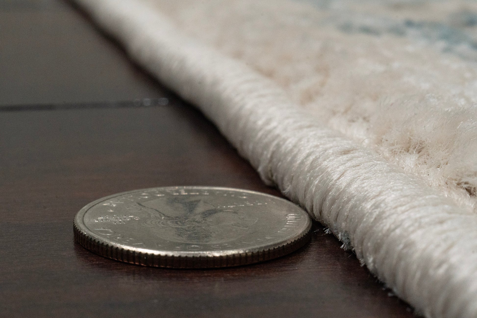 Juno Transitional Cream Floral Medium Pile Rug