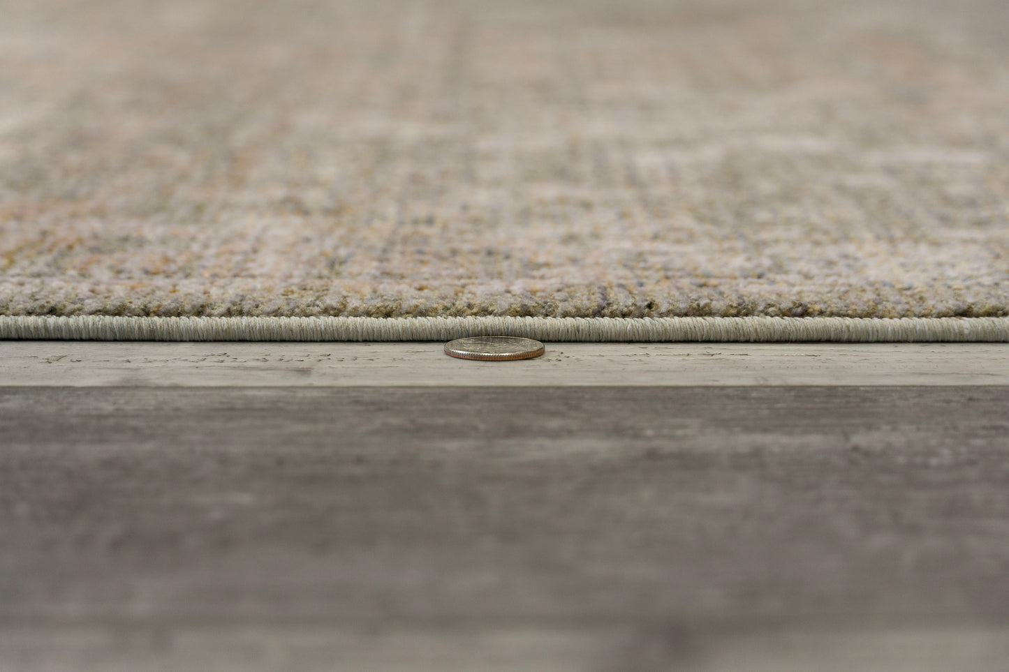 Kyra Transitional Grey/Dark Grey Floral Medium Pile Rug