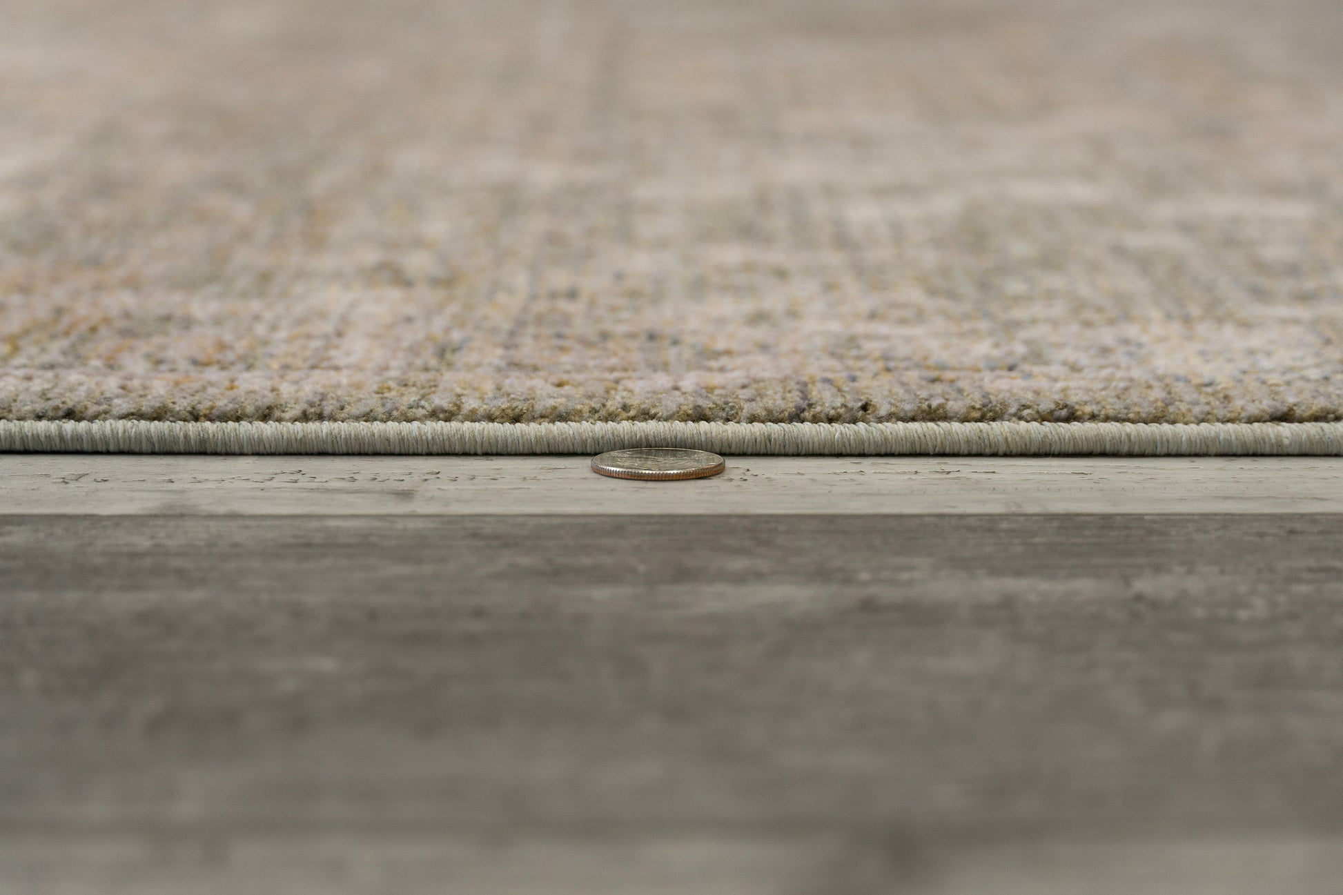 Kyra Transitional Grey/Dark Grey Floral Medium Pile Rug