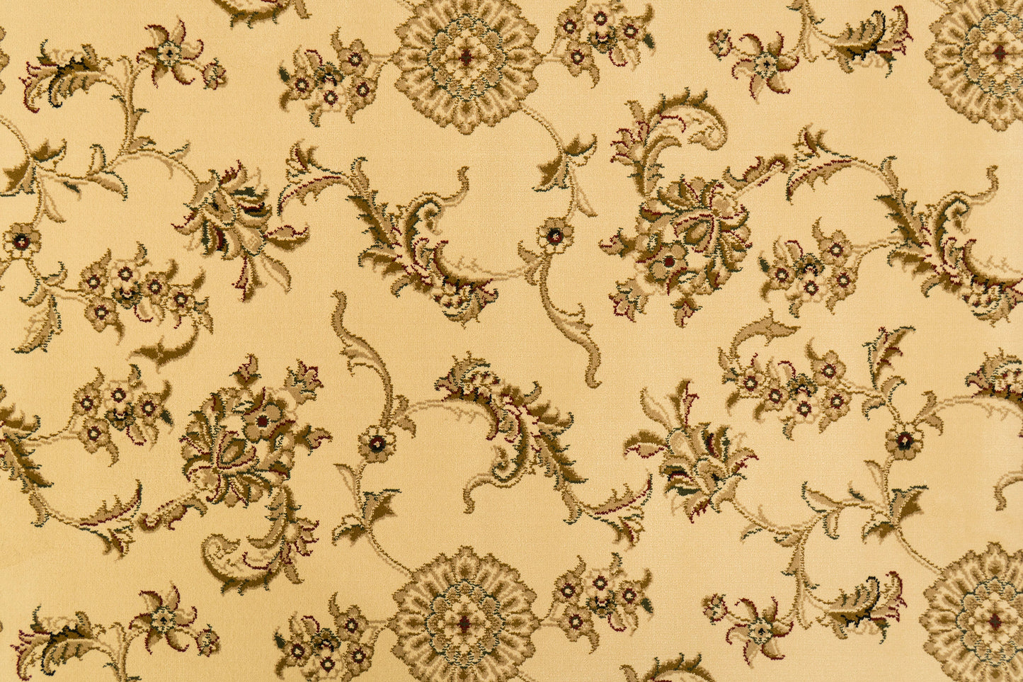 Legacy Traditional Ivory/Black Classic Medium Pile Rug