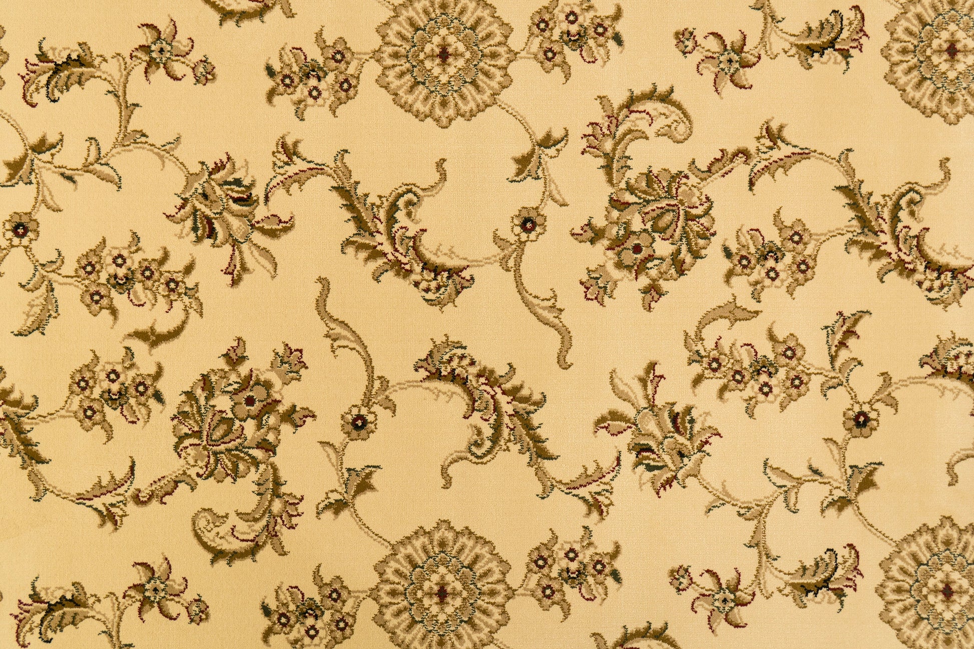 Legacy Traditional Ivory/Black Classic Medium Pile Rug