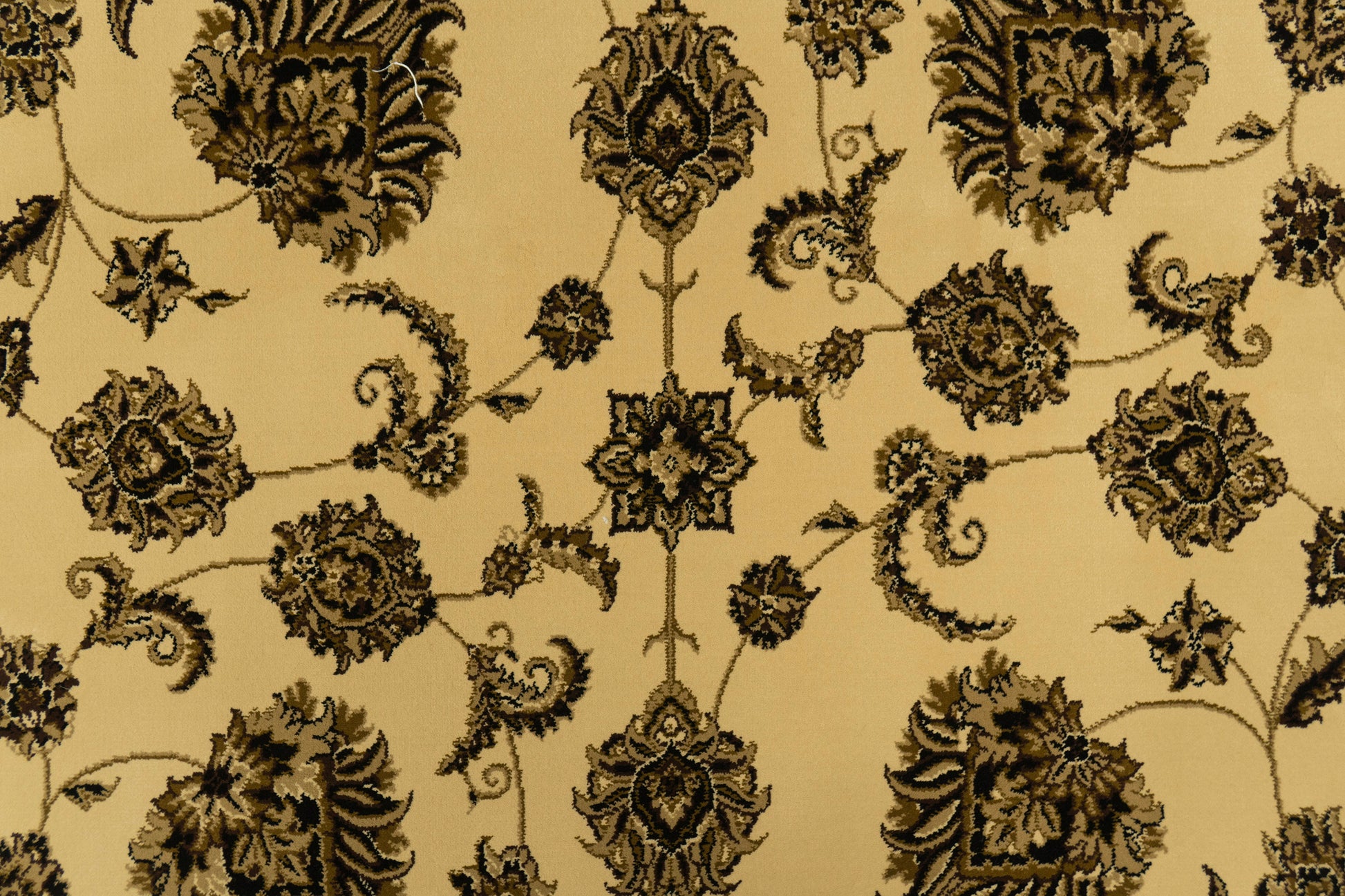 Legacy Traditional Cream/Brown Classic Medium Pile Rug
