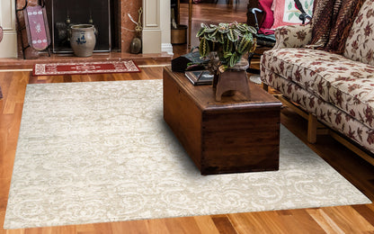 Mysterio Transitional Ivory Medallion/Damask High Pile Rug