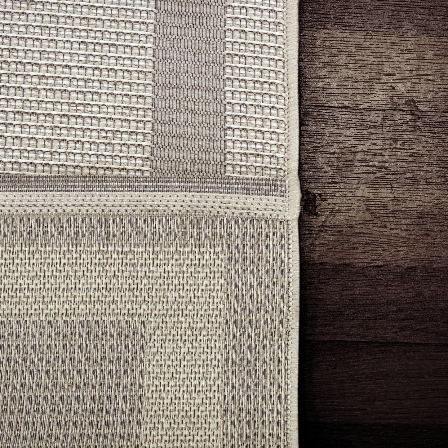 Newport Contemporary Beige Indoor/Outdoor No Pile Rug