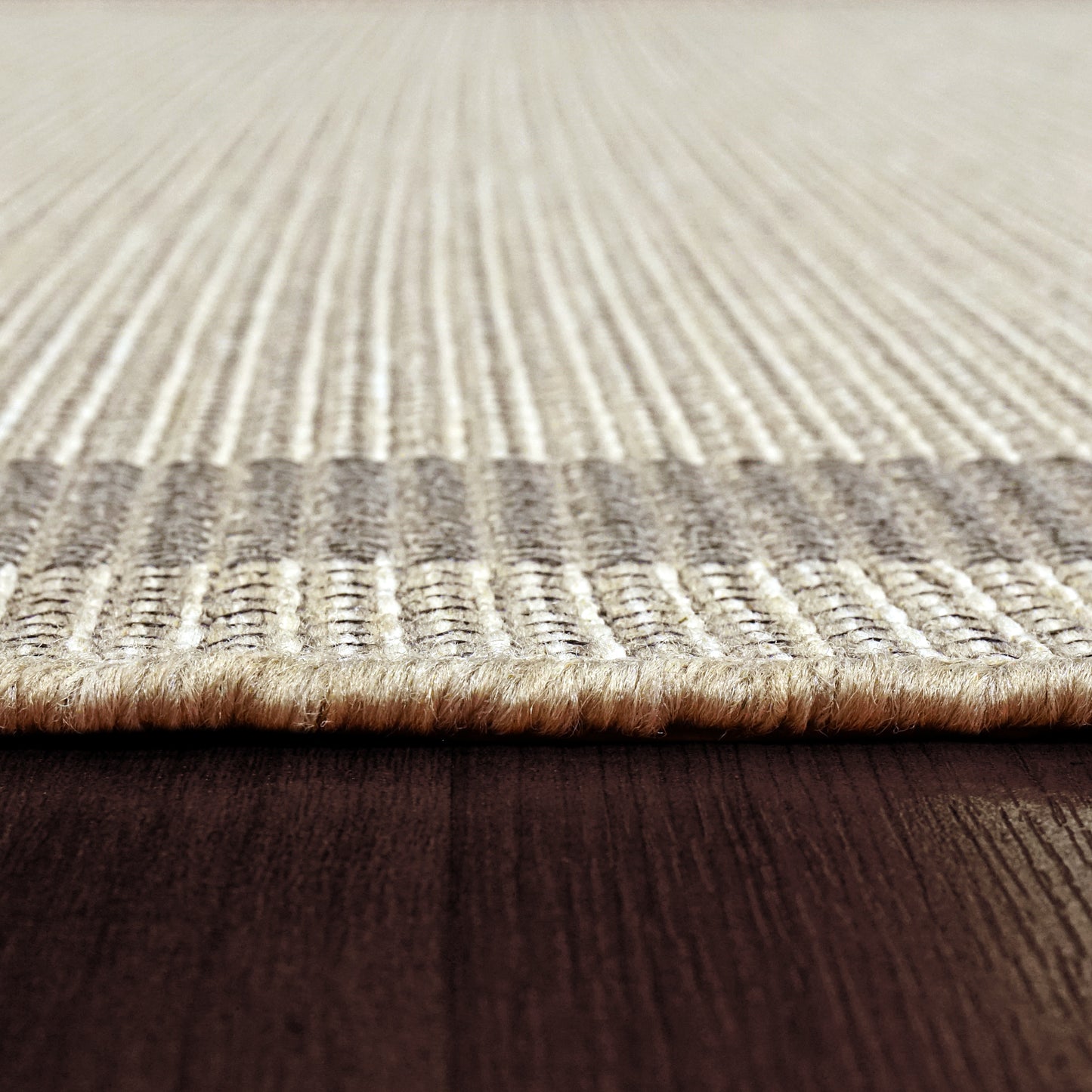 Newport Contemporary Beige Indoor/Outdoor No Pile Rug
