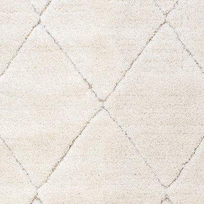 Pike Modern Ivory Moroccan Shag Rug