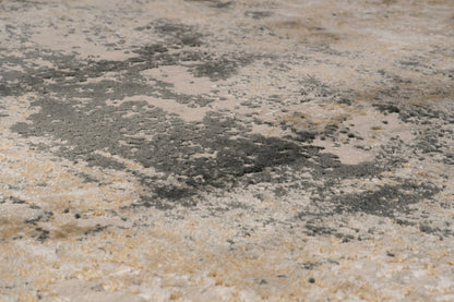 Quartz Traditional Beige/Grey Distressed Medium Pile Rug