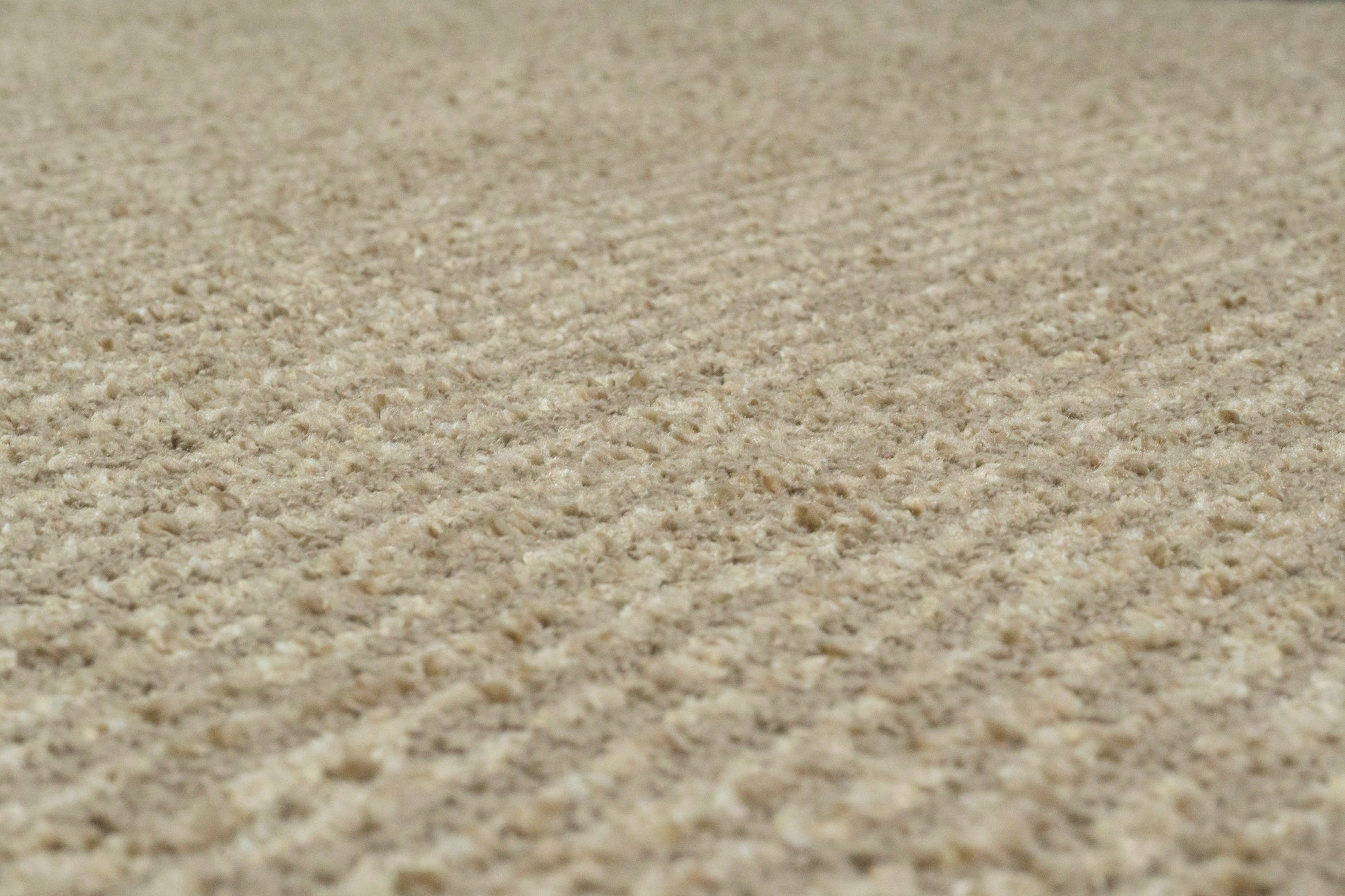 Quin Solid Sepia Solid Color High-Low Rug