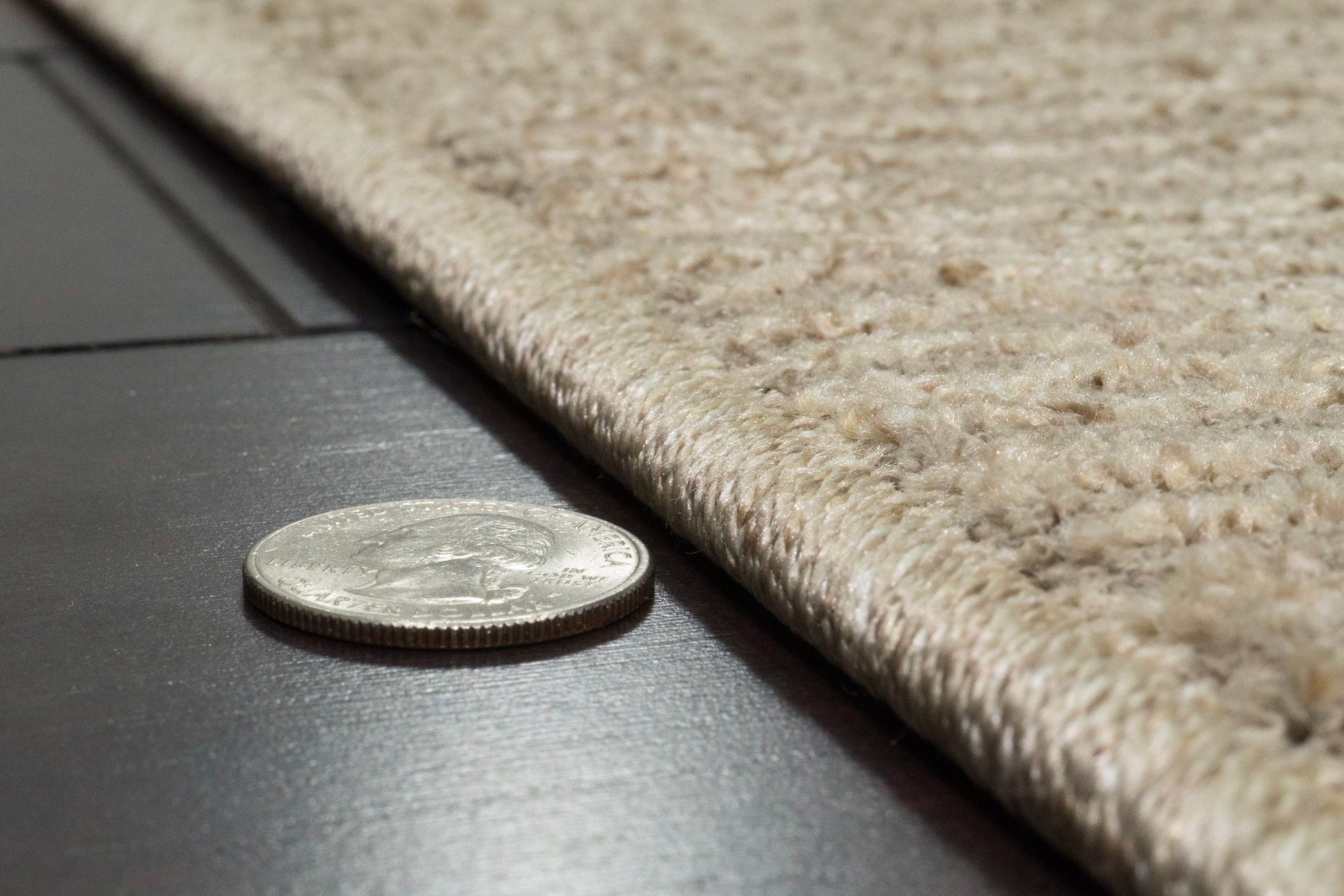 Quin Solid Sepia Solid Color High-Low Rug