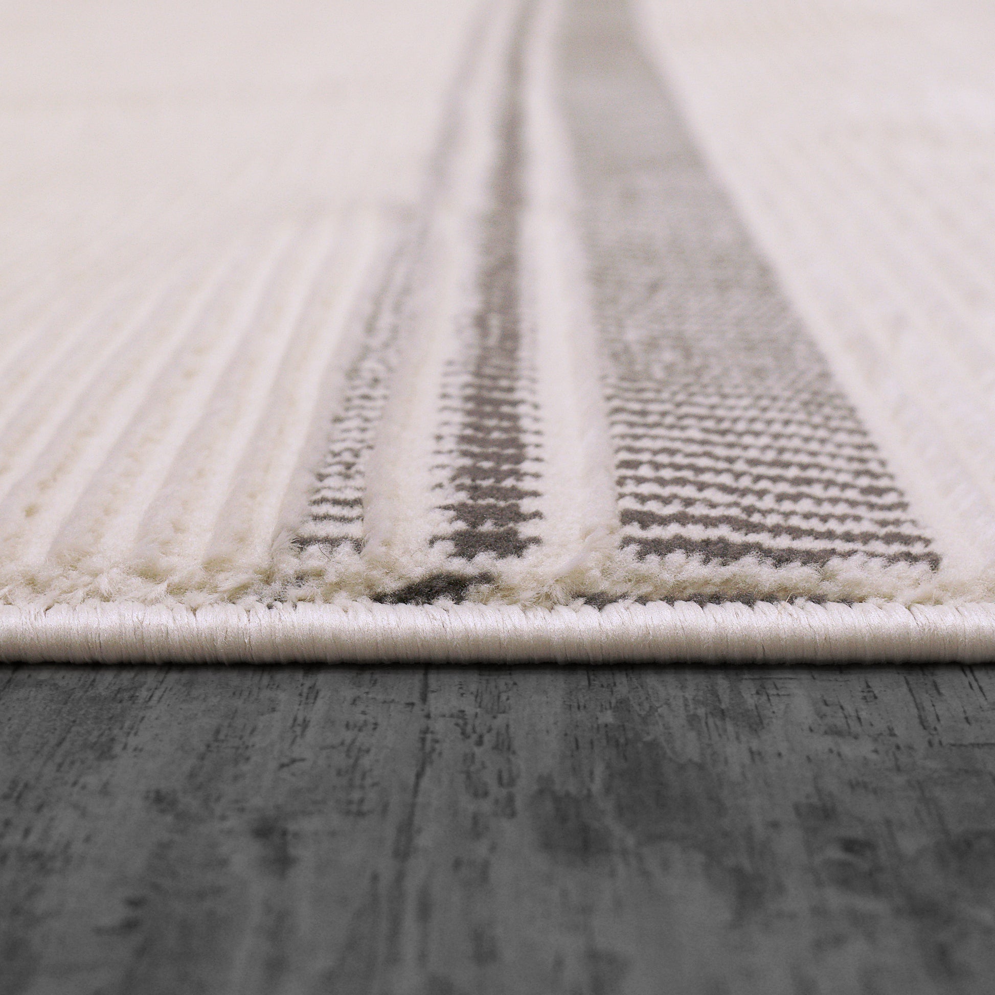 Rori Modern Ivory/Charcoal Geometric Medium Pile Rug