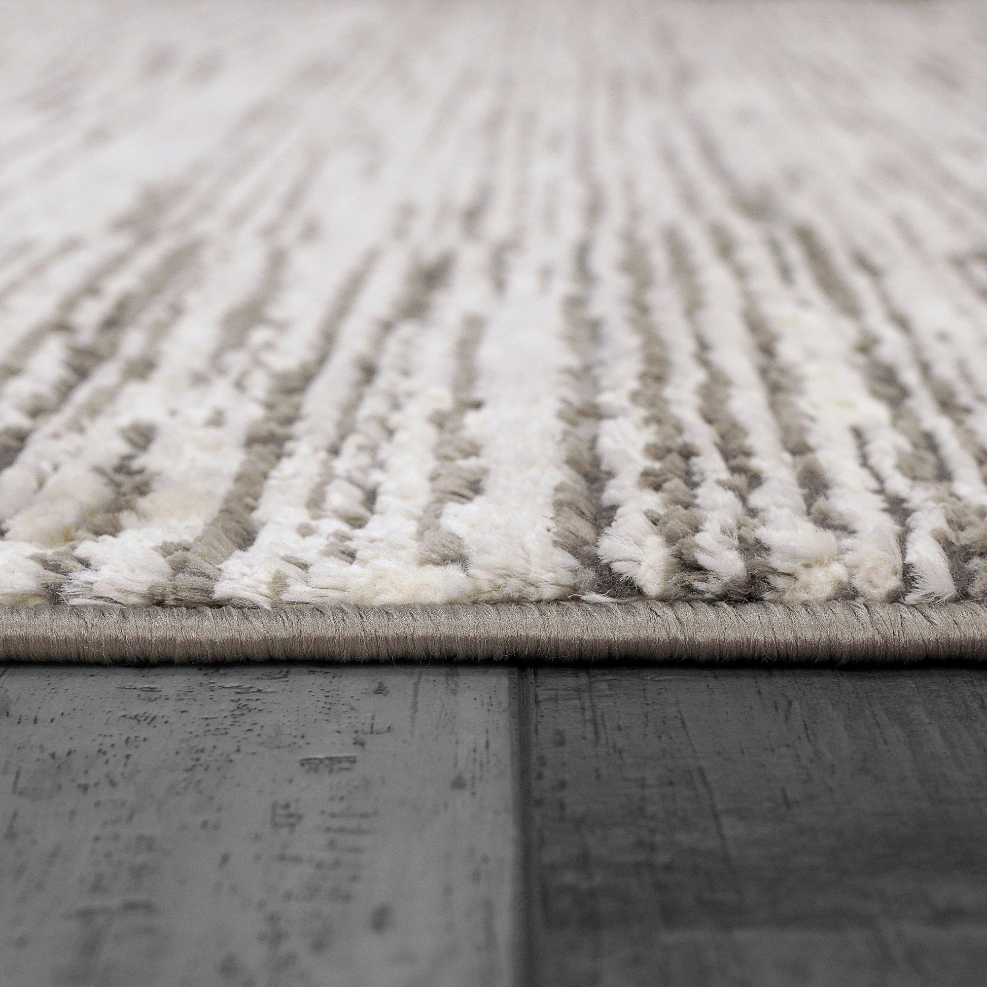 Rori Modern Grey/Charcoal Bordered Medium Pile Rug