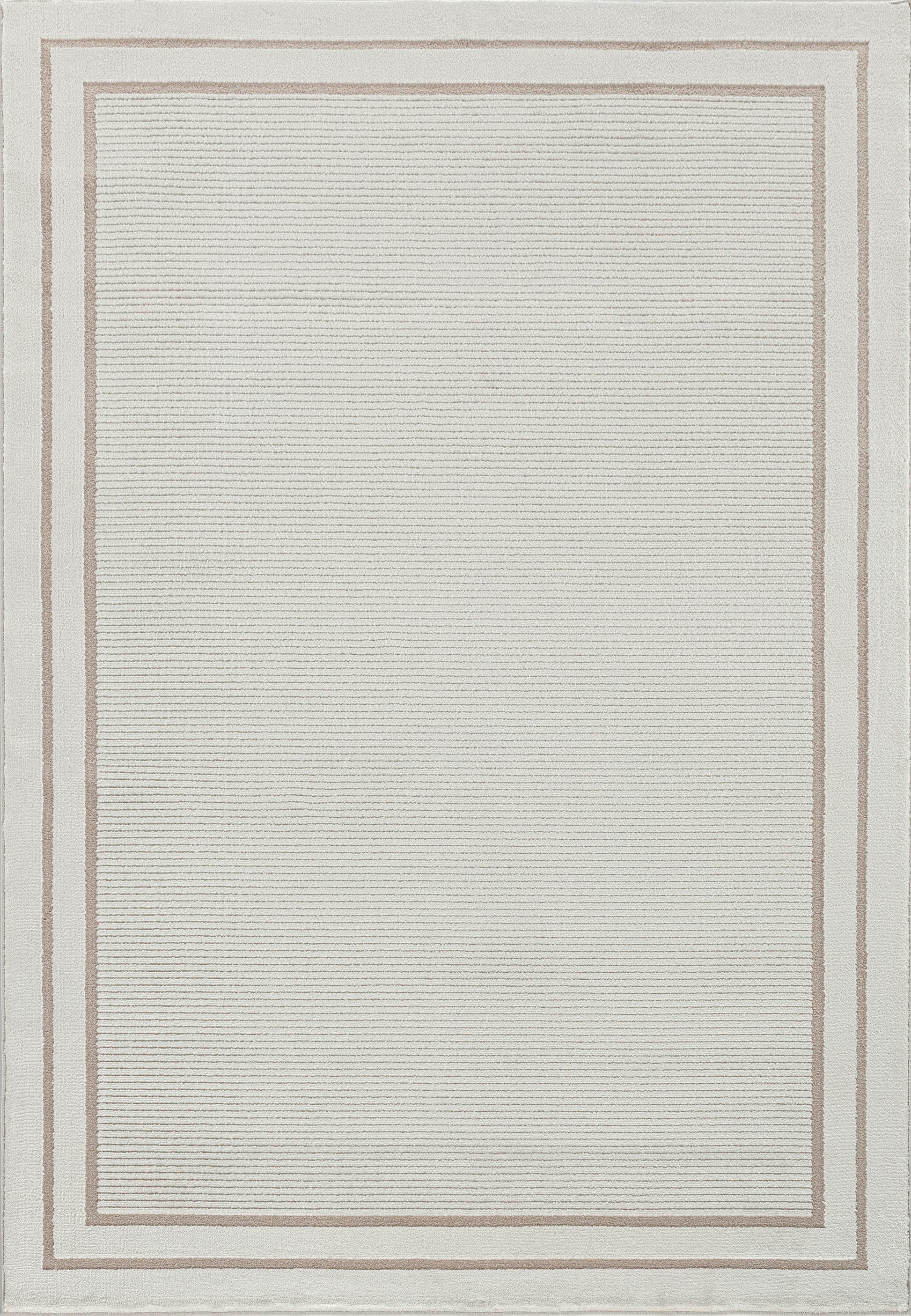 Timeless Modern Beige Bordered Medium Pile Rug
