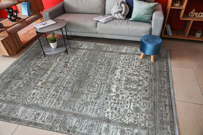 Trevi Transitional Grey/Cream Medallion Medium Pile Rug