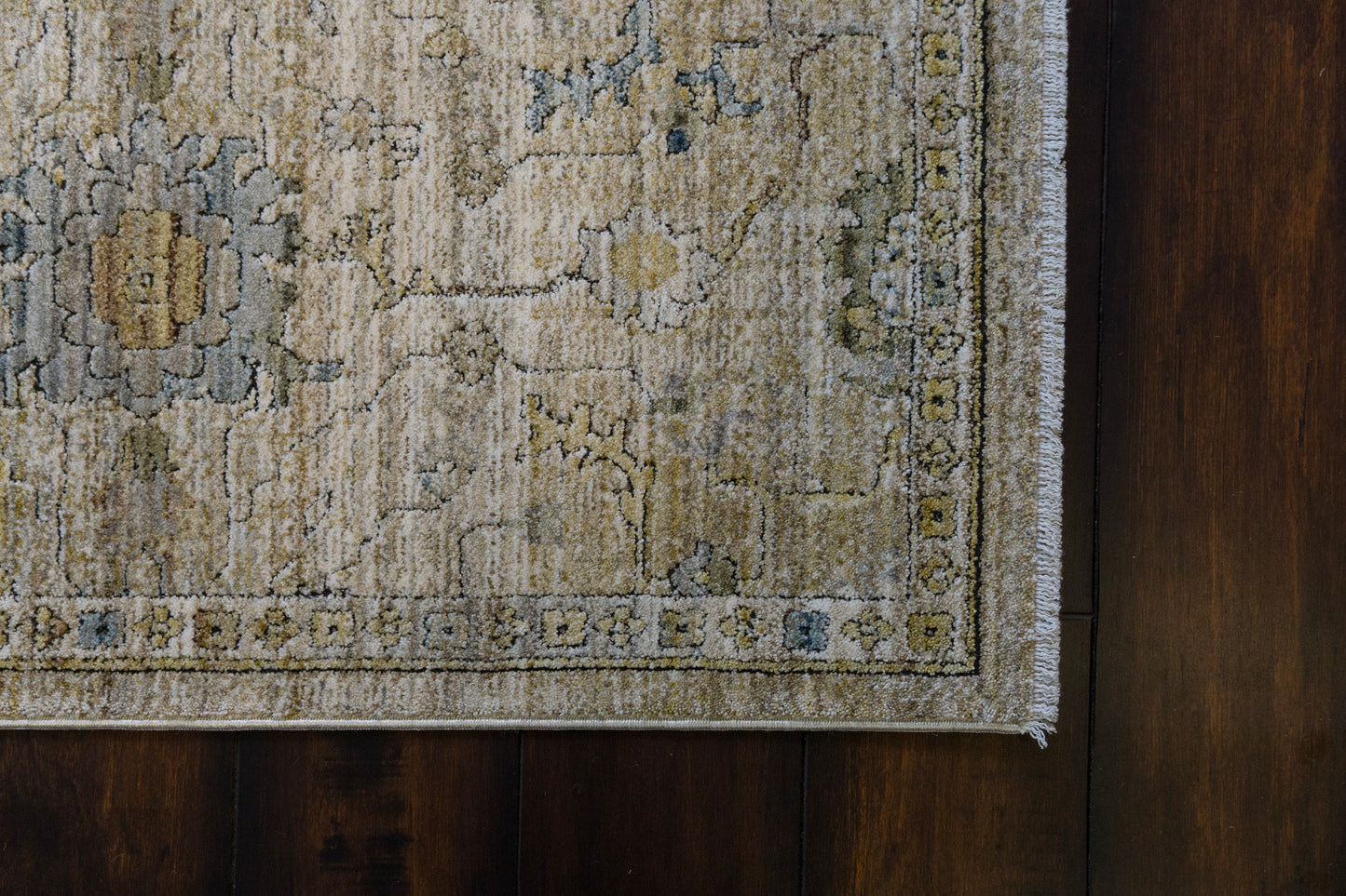 Trevi Transitional Cream/Beige Floral Medium Pile Rug
