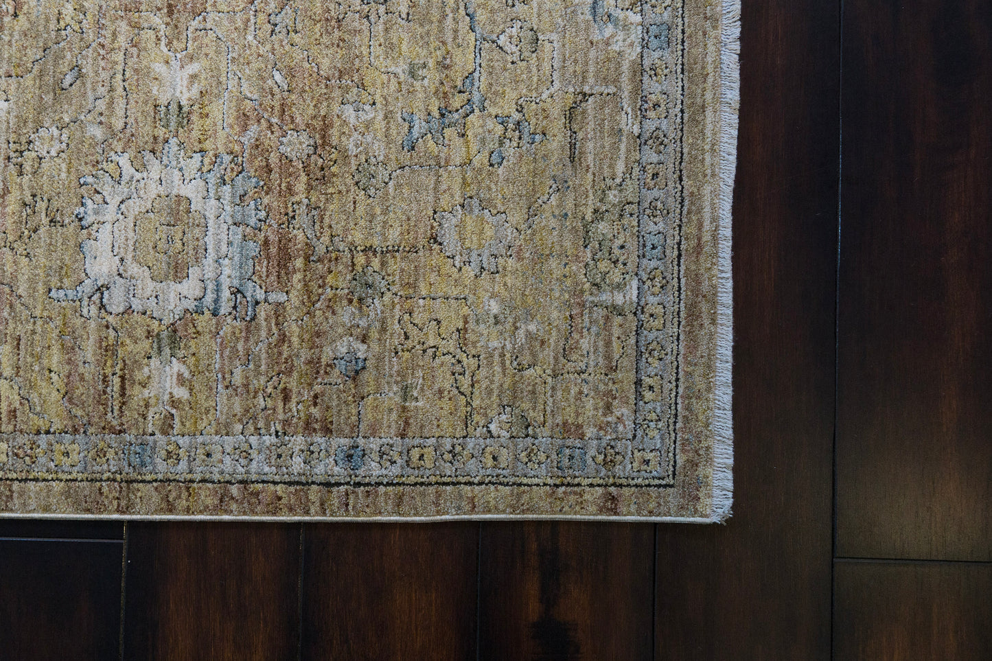 Trevi Transitional Beige/Cream Floral Medium Pile Rug