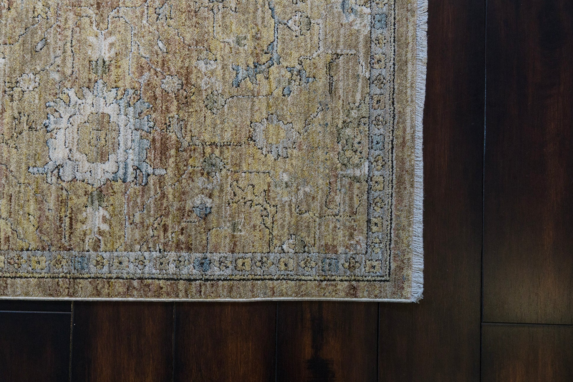 Trevi Transitional Beige/Cream Floral Medium Pile Rug